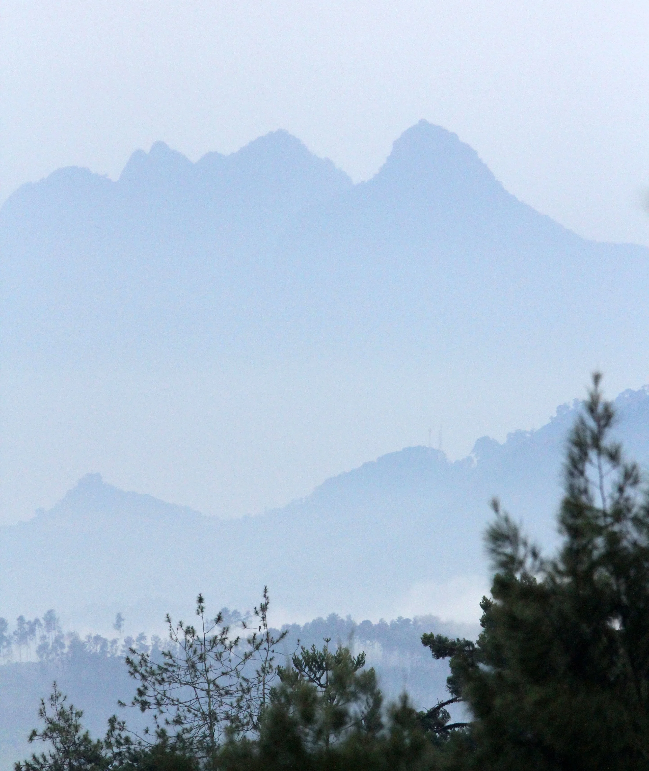 BOGOR - GEDE NATIONAL PARK JAVA BARAT INDONESIA (2).JPG