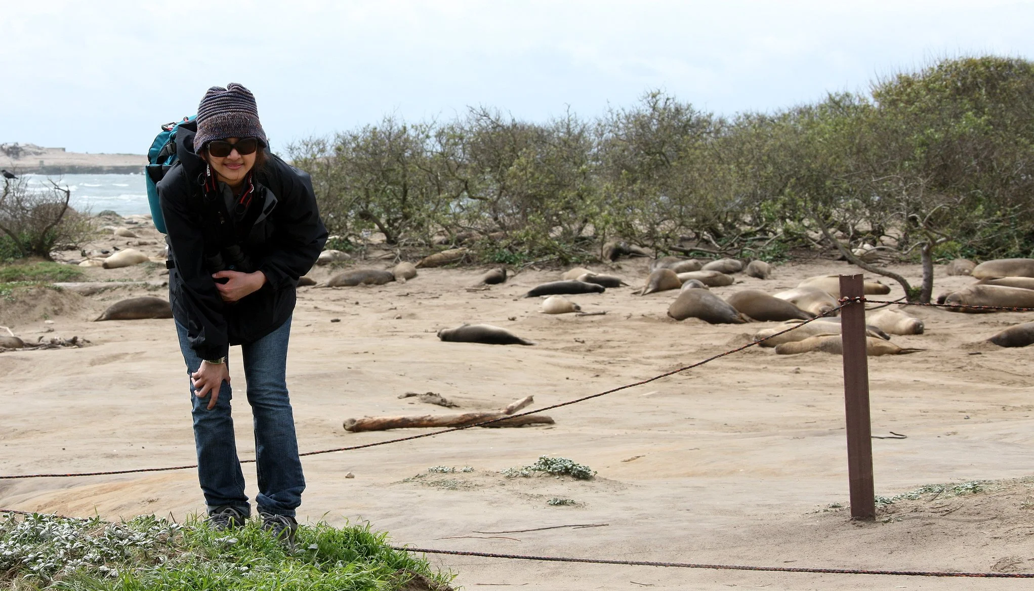 2010-3-31 HANGING AT ANO NUEVO SPECIAL RESERVE CALIFORNIA - SPRING BREAK ROADTRIP (3).JPG
