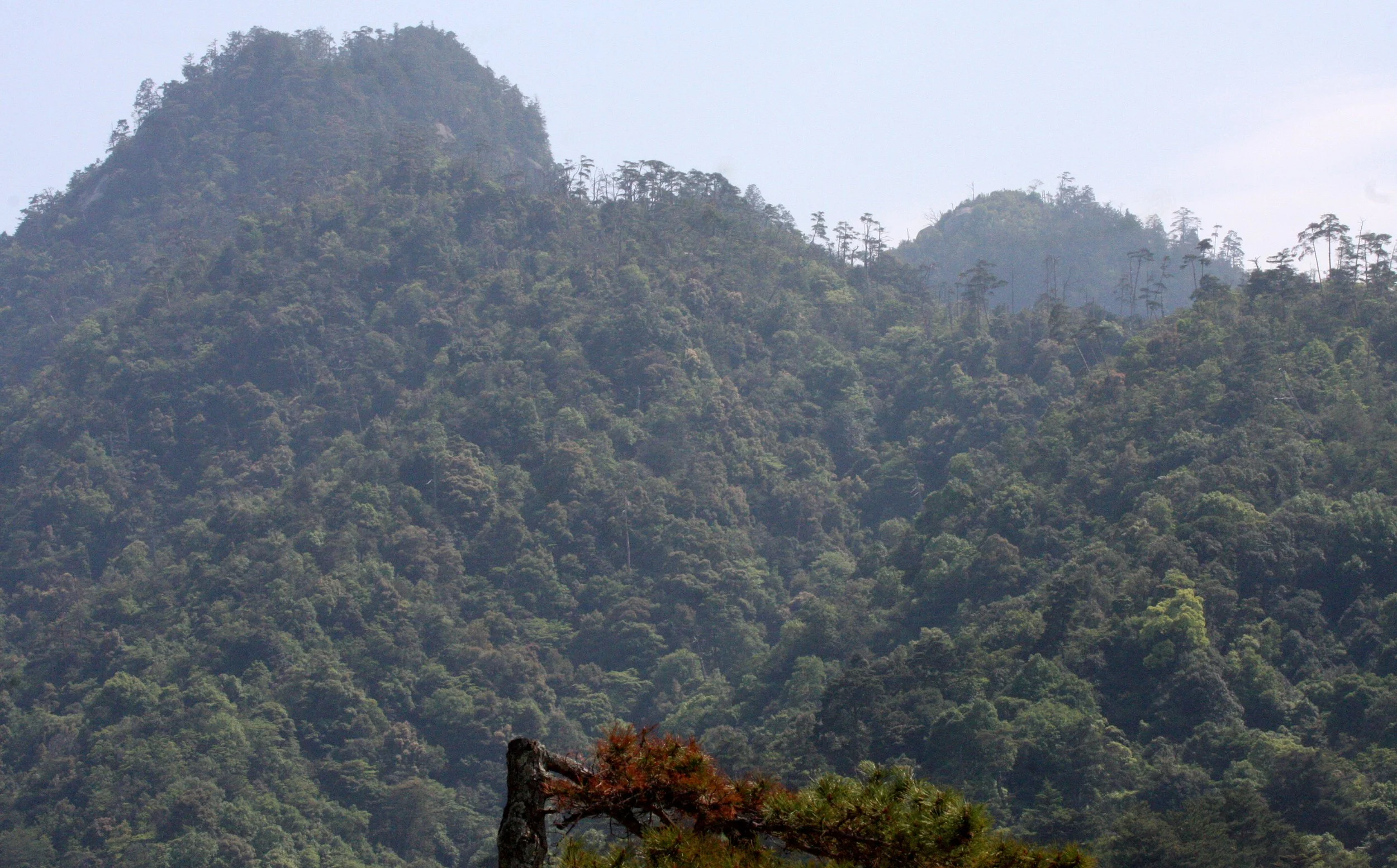MIYAJIMA - MAY 2009 - SCENES AND LANDSCAPES (58).JPG