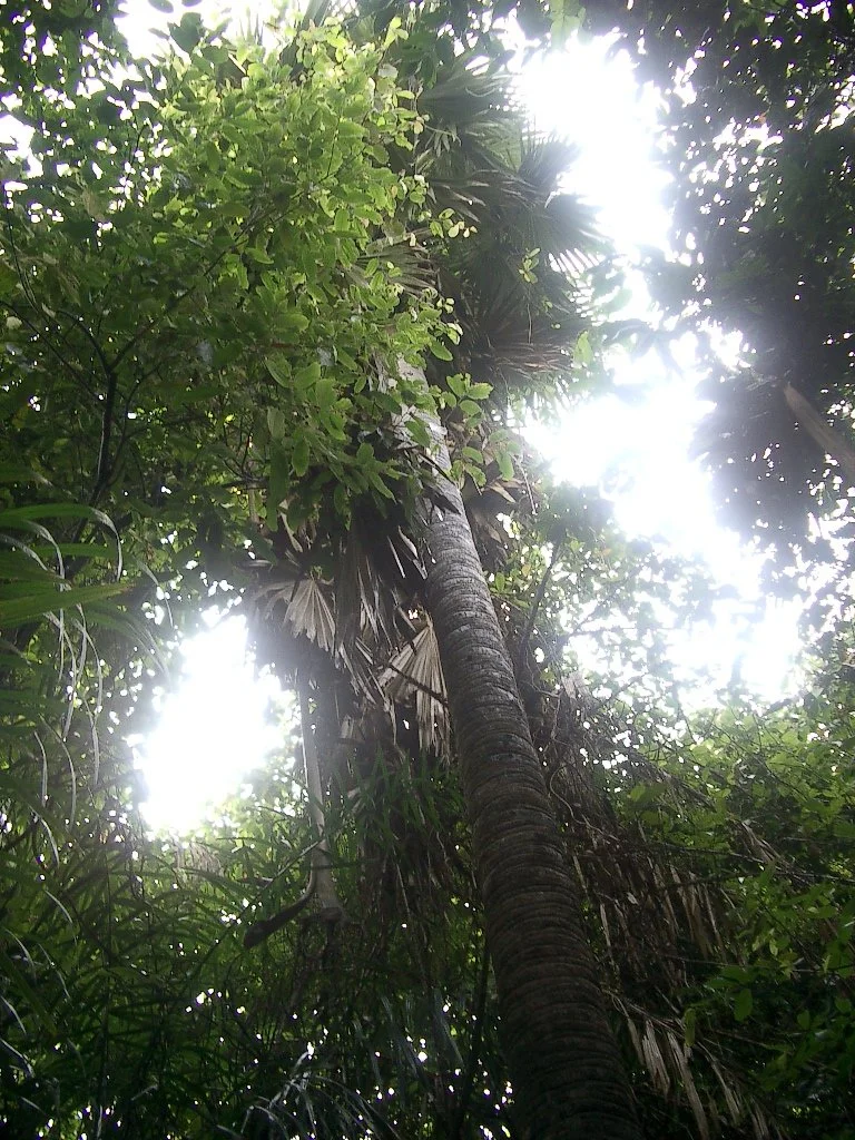 KOH LANTA - PROPERTY - 2004 (2).JPG