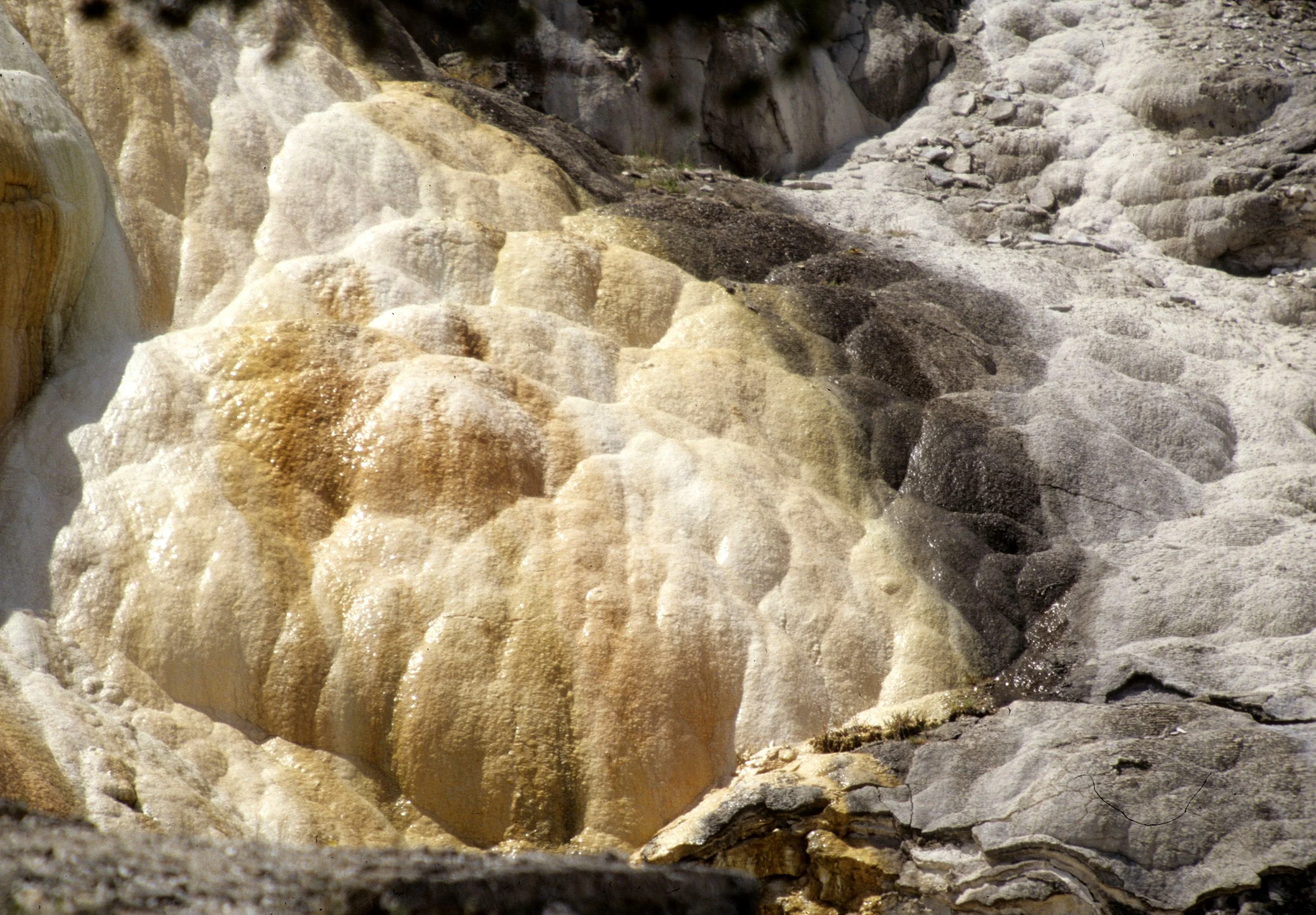 Yellowstone National Park in Winter & Summer