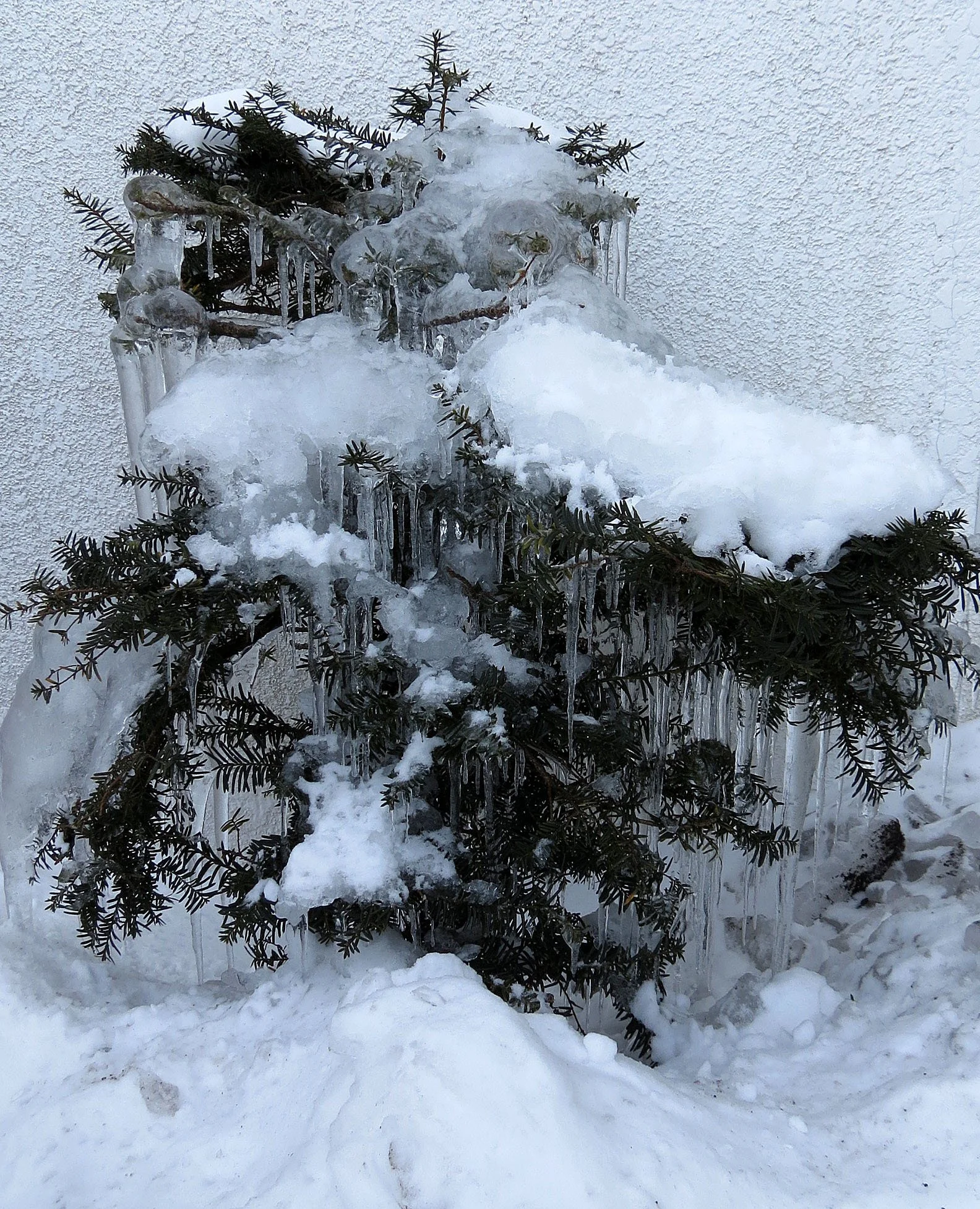 KUSHIRO - HOKKAIDO - JAPAN (2).JPG