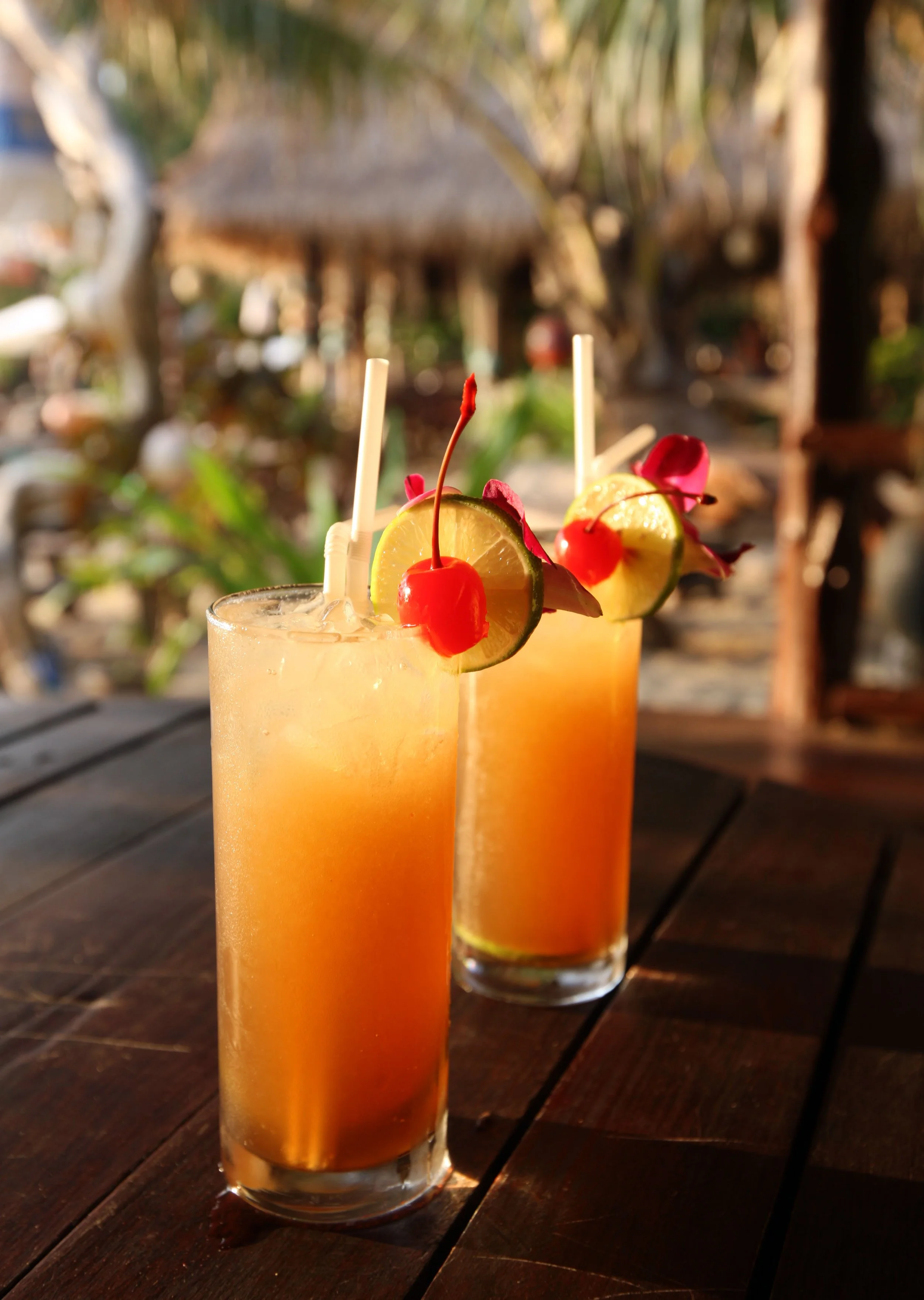 2015 Koh Lanta Build and Fun (88).JPG