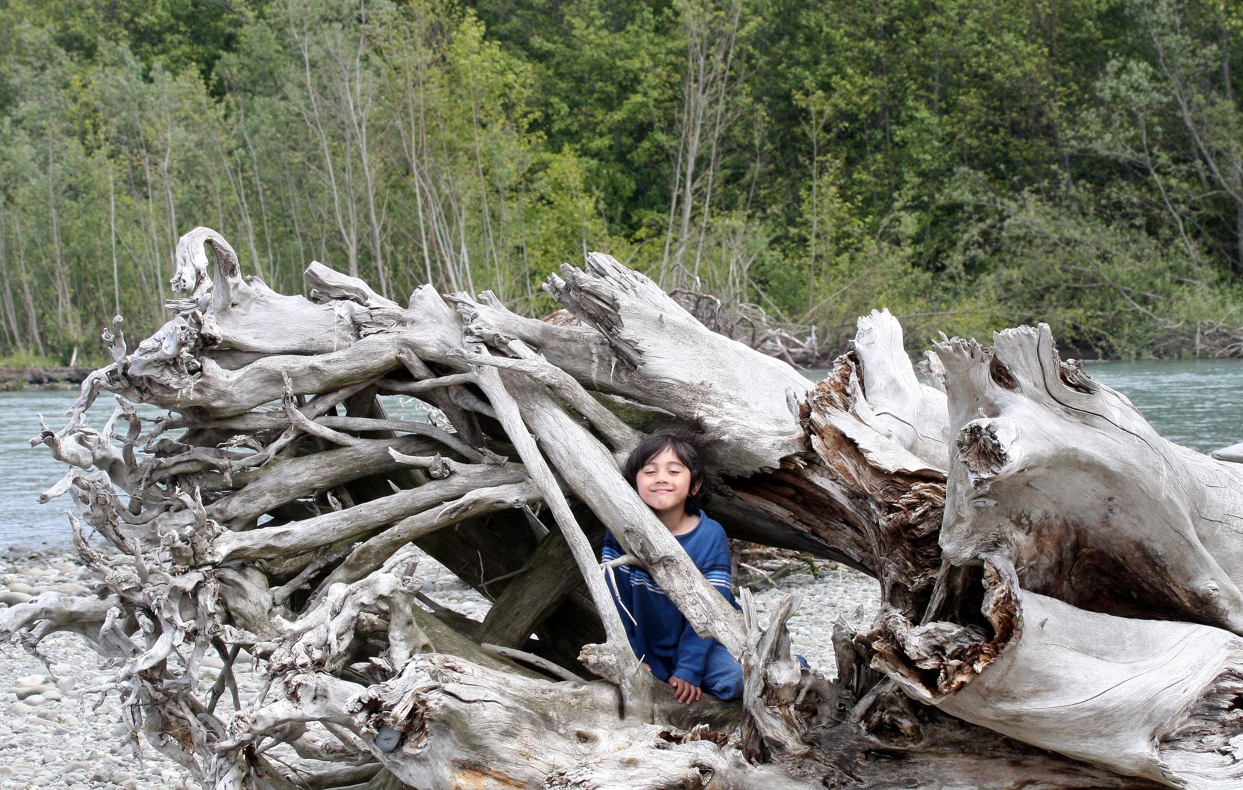 2008-6-14 COKIE BEING GOOFY.JPG