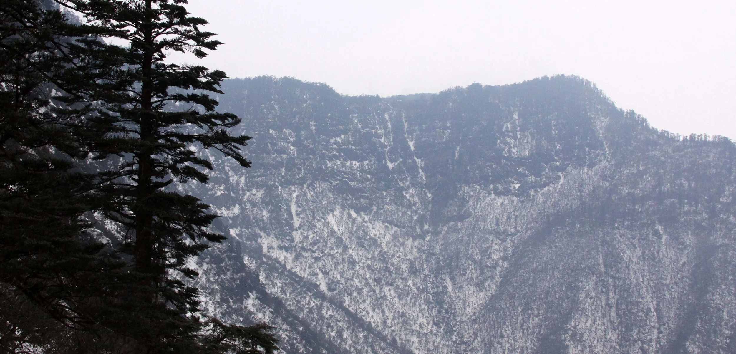 WAWU SHAN GEOPARK - SICHUAN CHINA (10).JPG