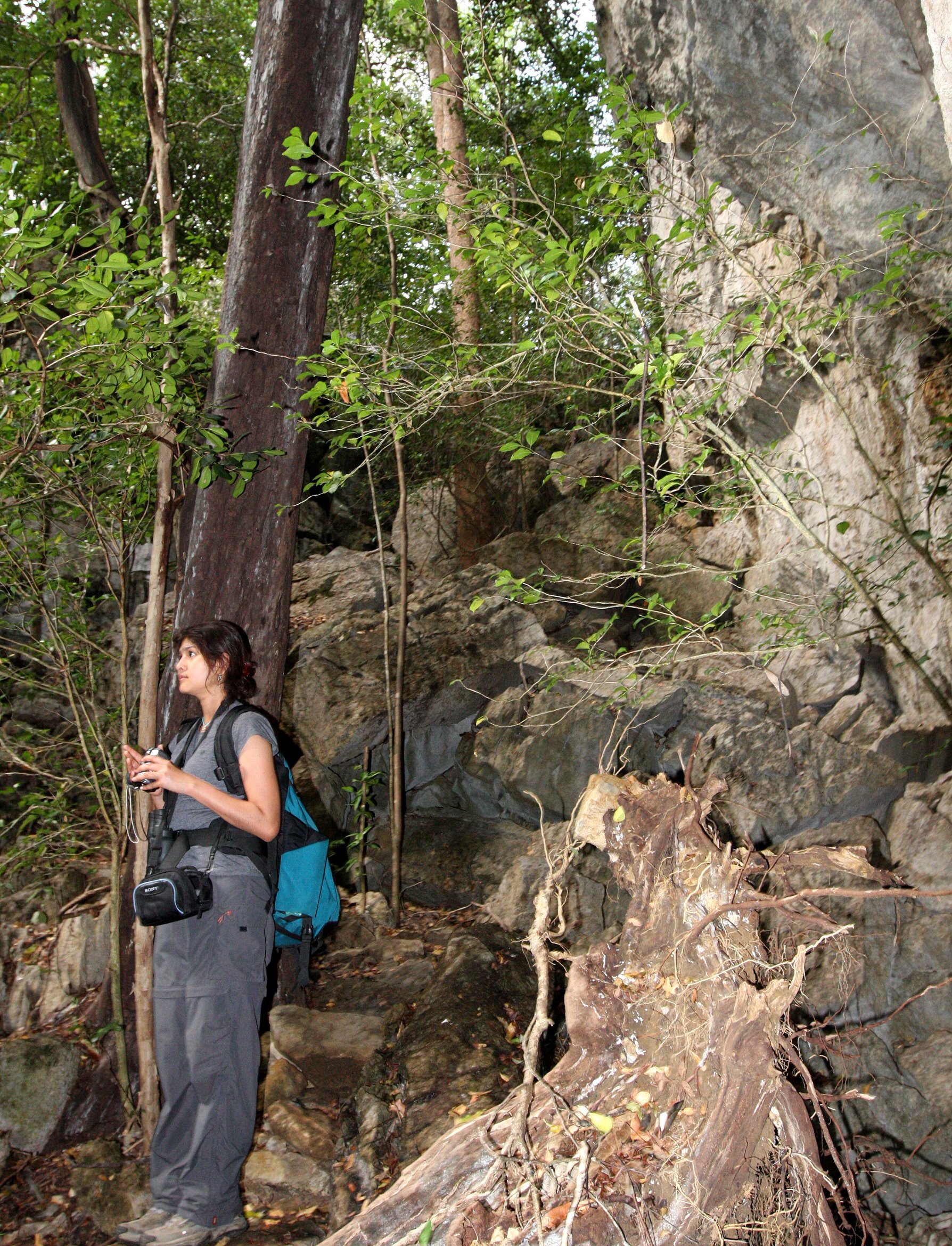 ANKARANA NATIONAL PARK MADAGASCAR - IN THE FOREST.JPG