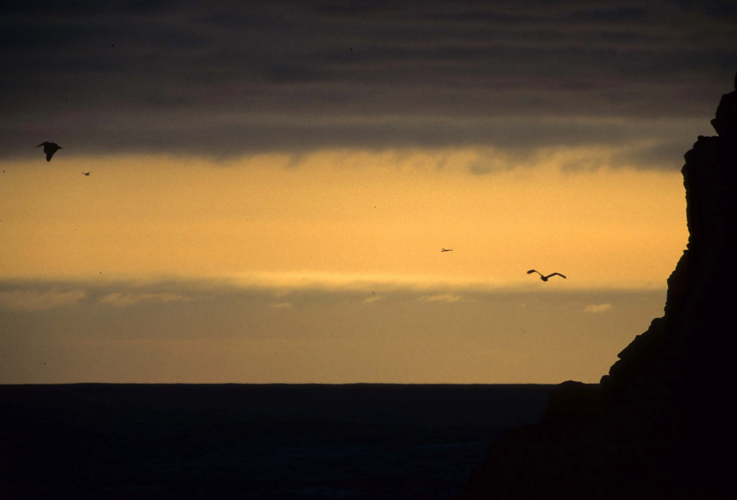 CALIFORNIA - BODEGA BAY SUNSET.jpg
