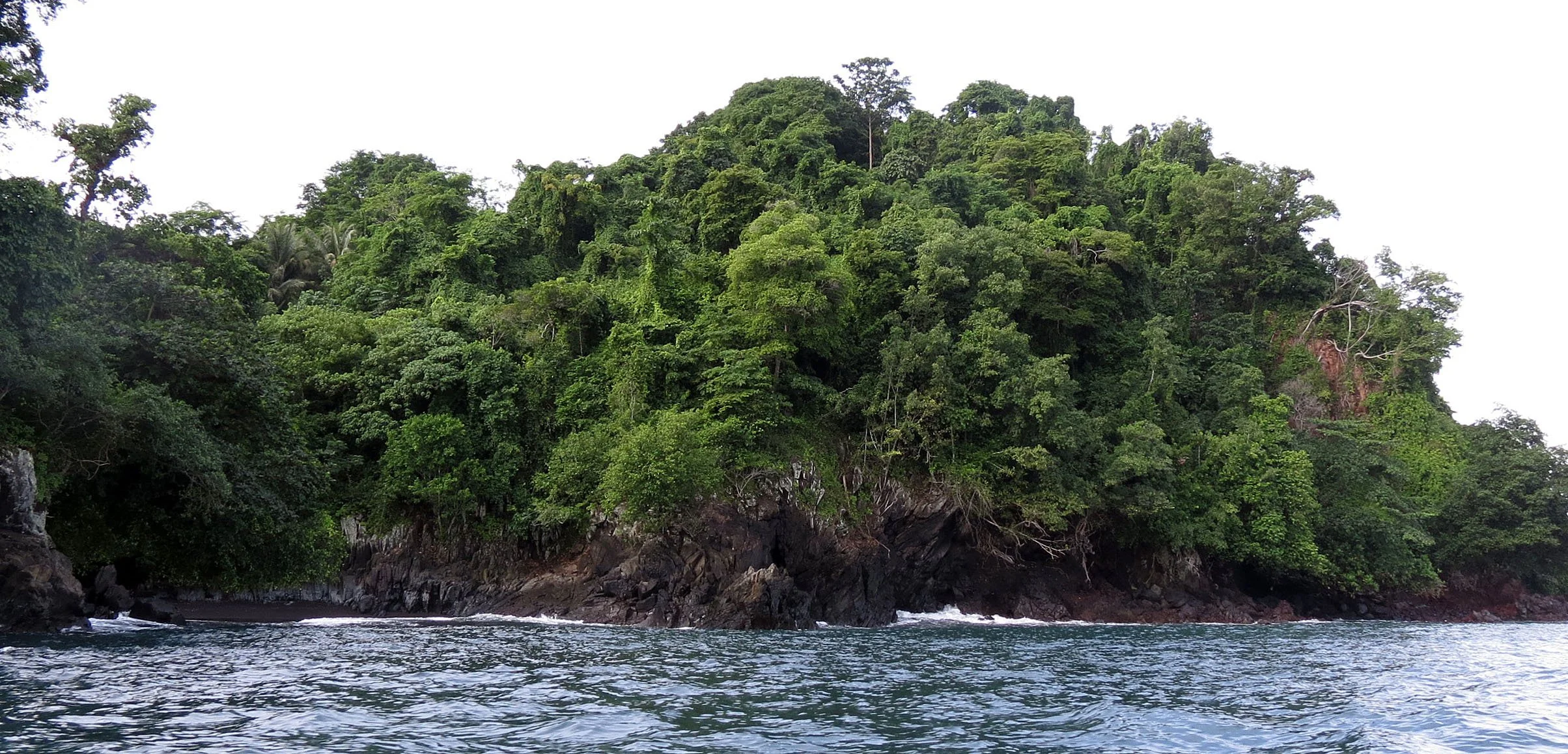 TANGKOKO NATIONAL PARK, SULAWESI INDONESIA  (22).JPG