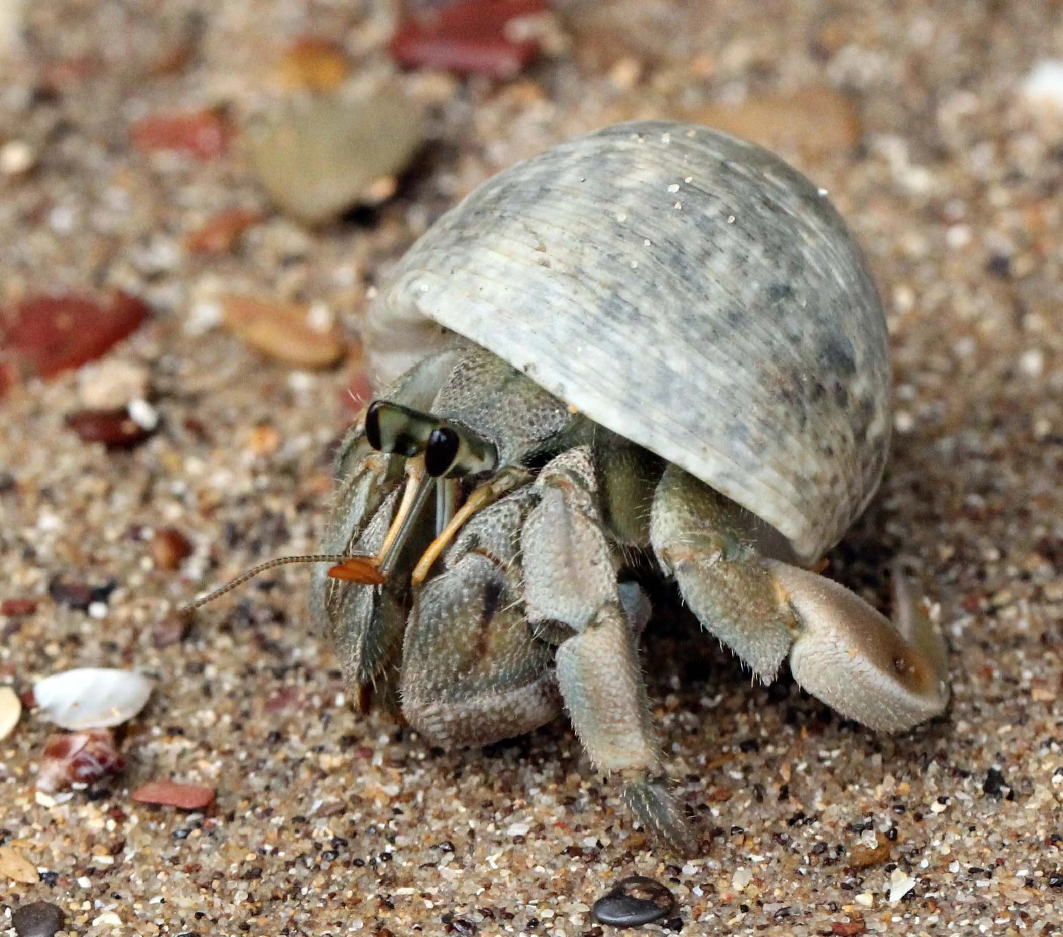 2013 KOH LANTA - OCTOBER BREAK 2013 (266).JPG