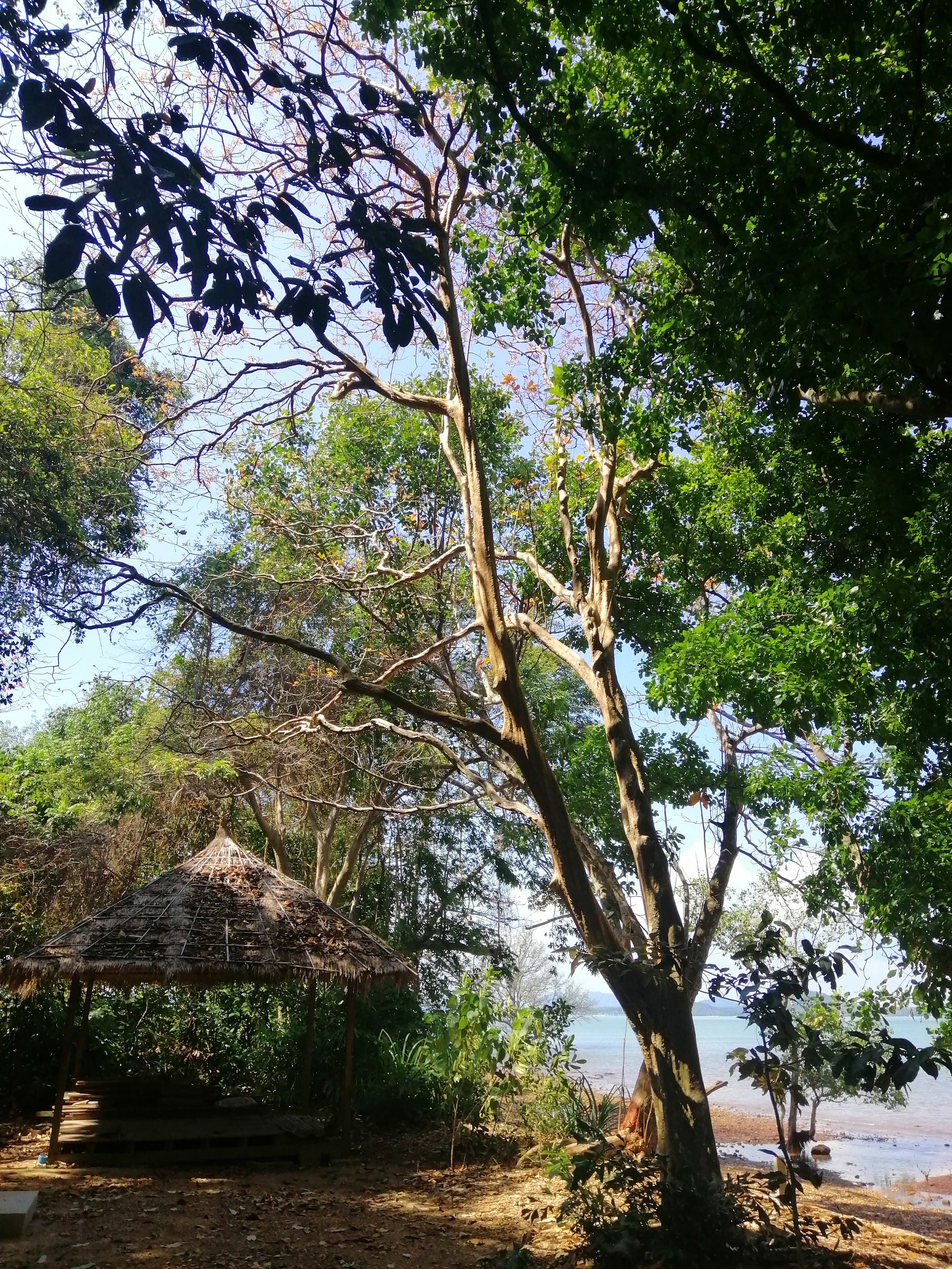 2018 Koh Lanta Misc  (153).jpg