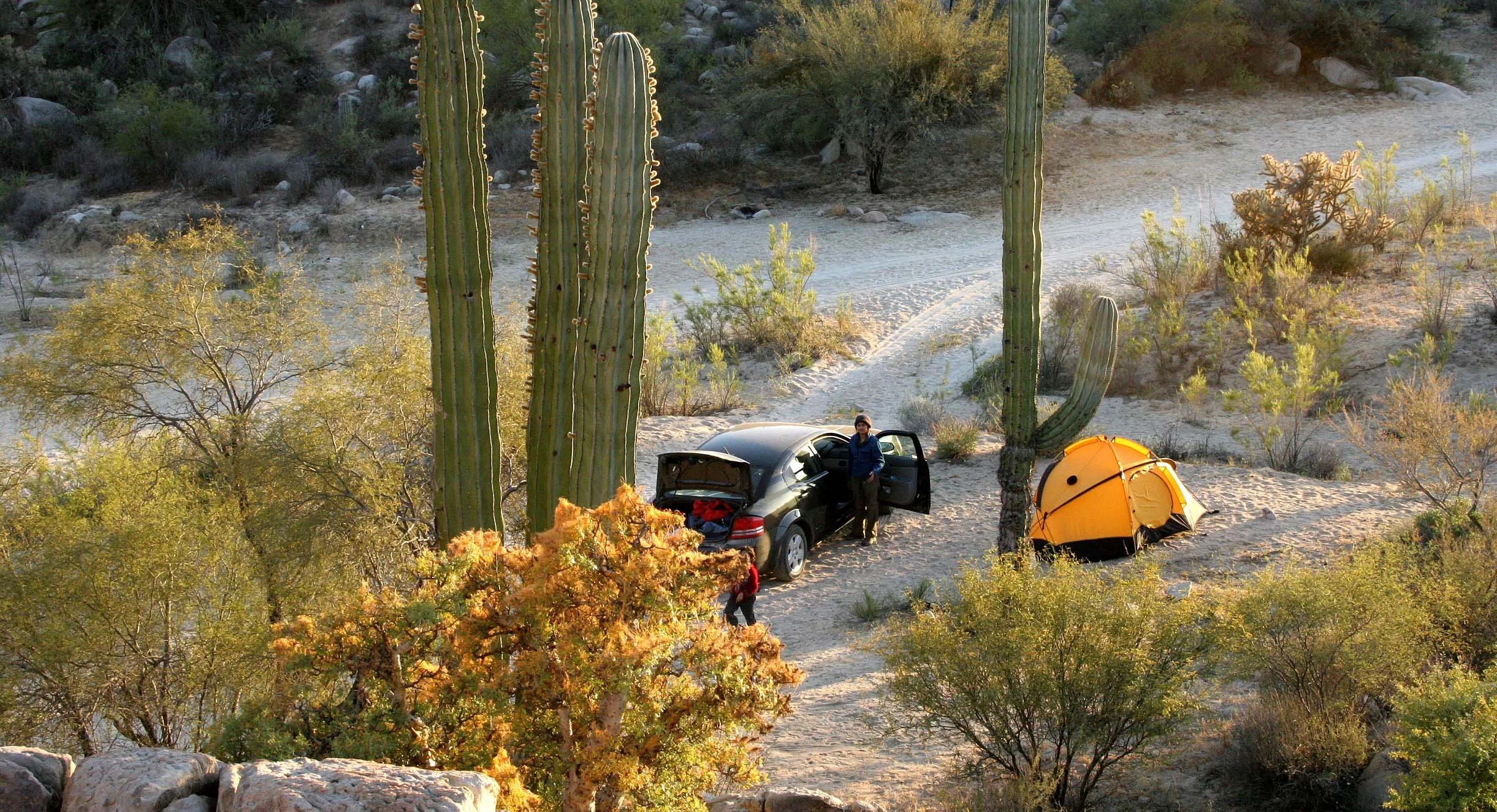 CATAVINA DESERT BAJA MEXICO - CAMPSITE IN THE DESERT (2).JPG