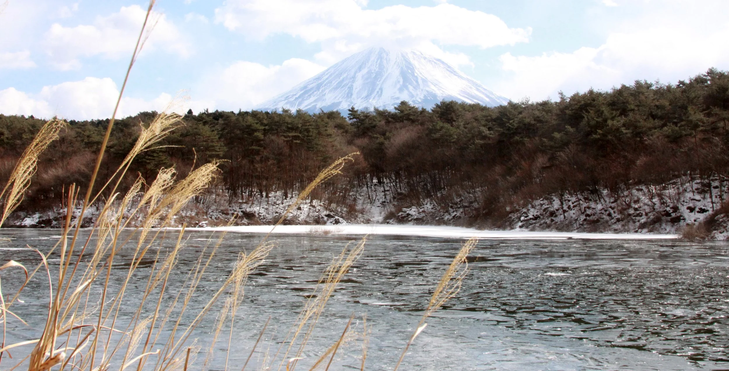 MOUNT FUJI - AS SEEN FROM LAKE SHOJI JAPAN (33).JPG