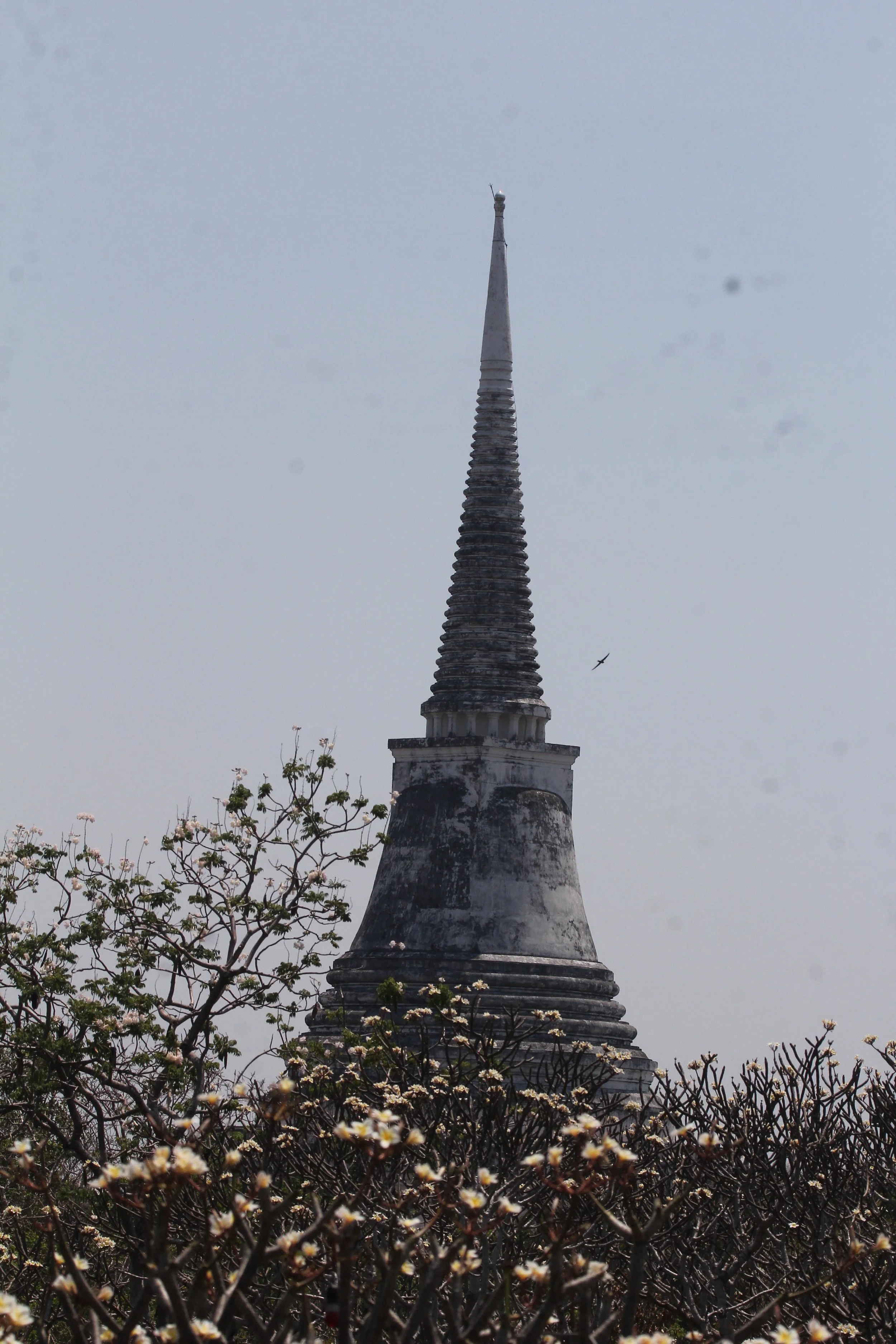 2020 Petchaburi Temple Trip with Cokie (69).JPG