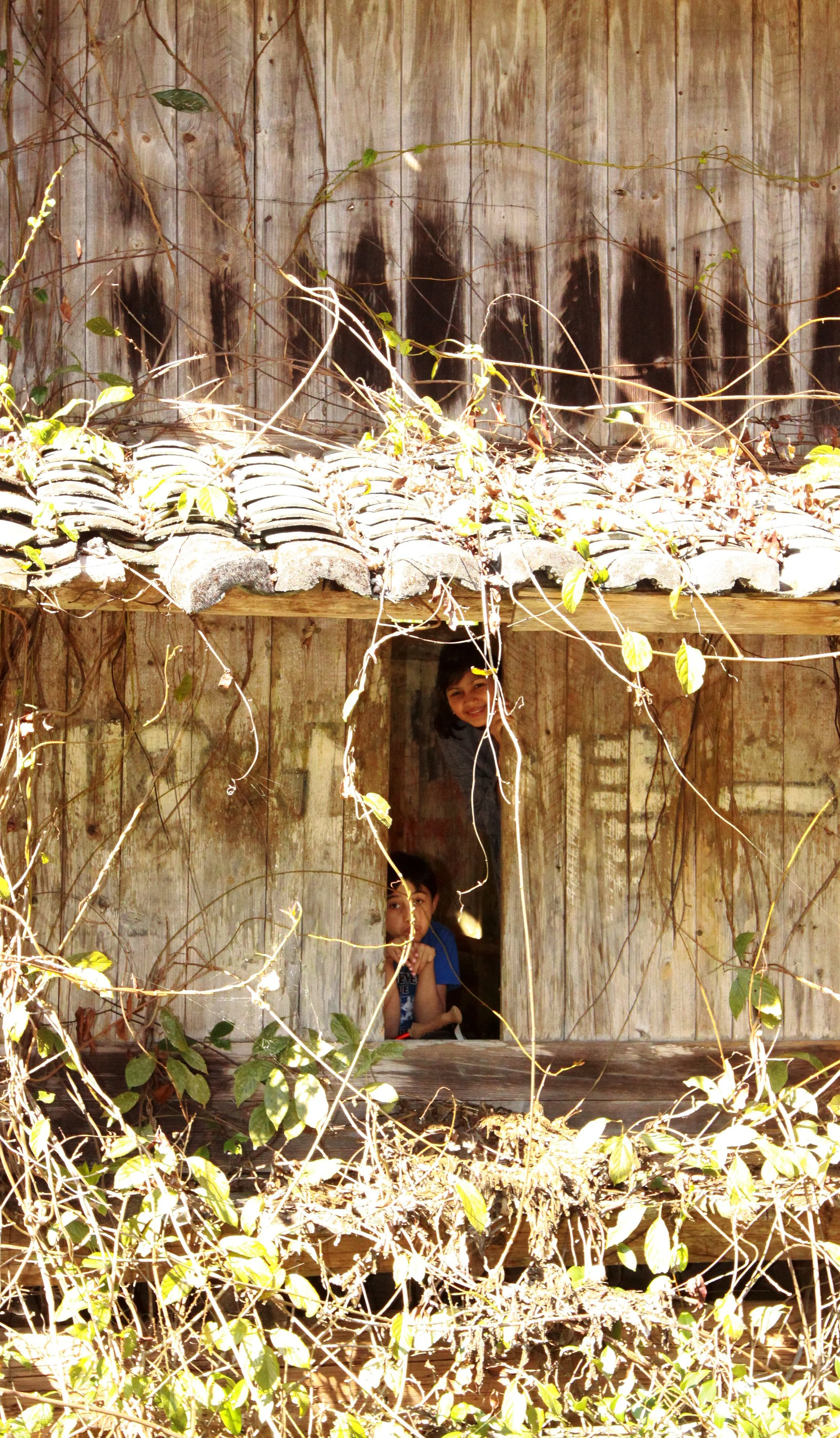 CHINESE YEW RESERVE - FUJIAN CHINA (46).JPG