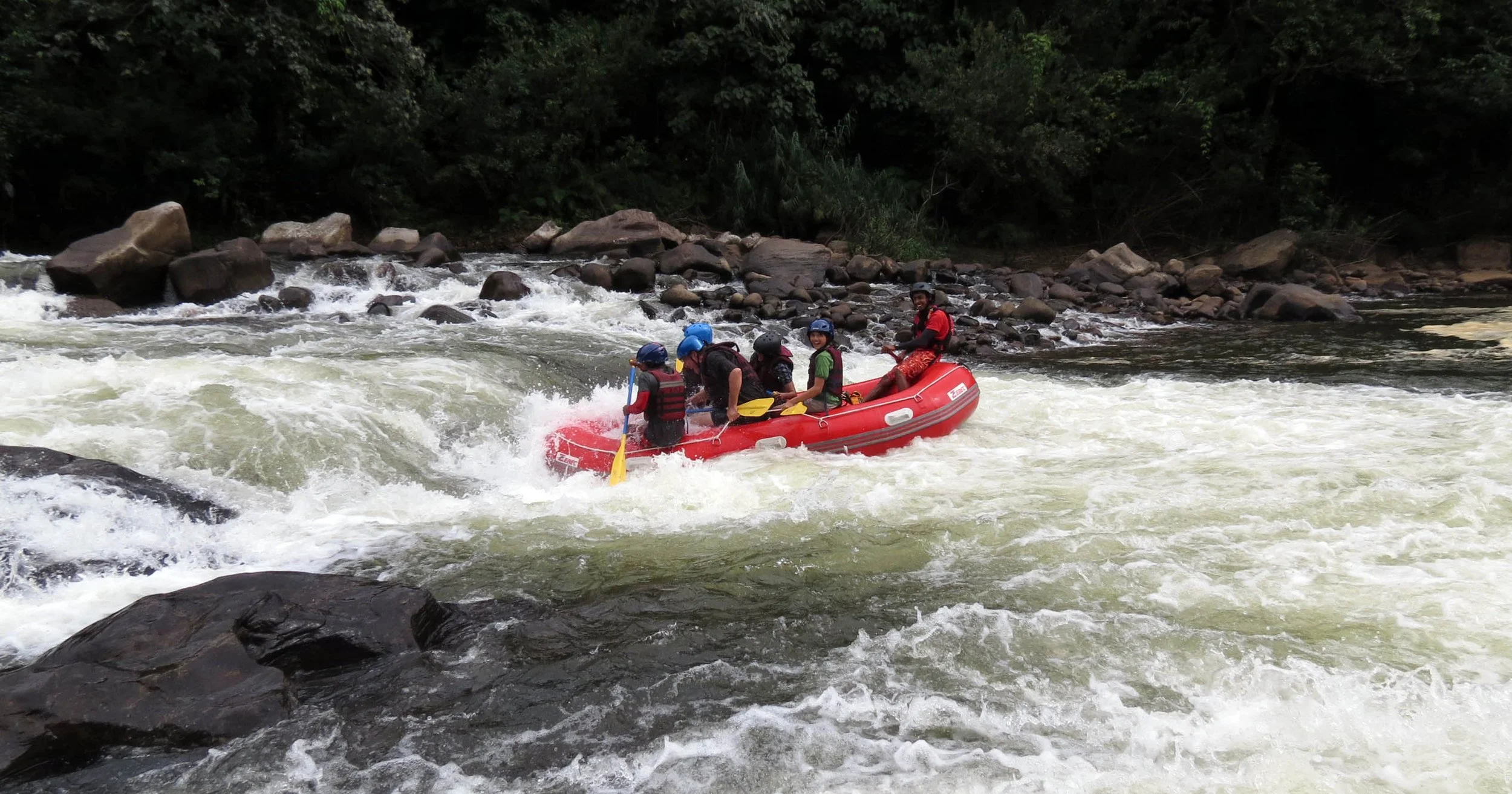 KITULGALA FOREST PRESERVE SRI LANKA (70).JPG