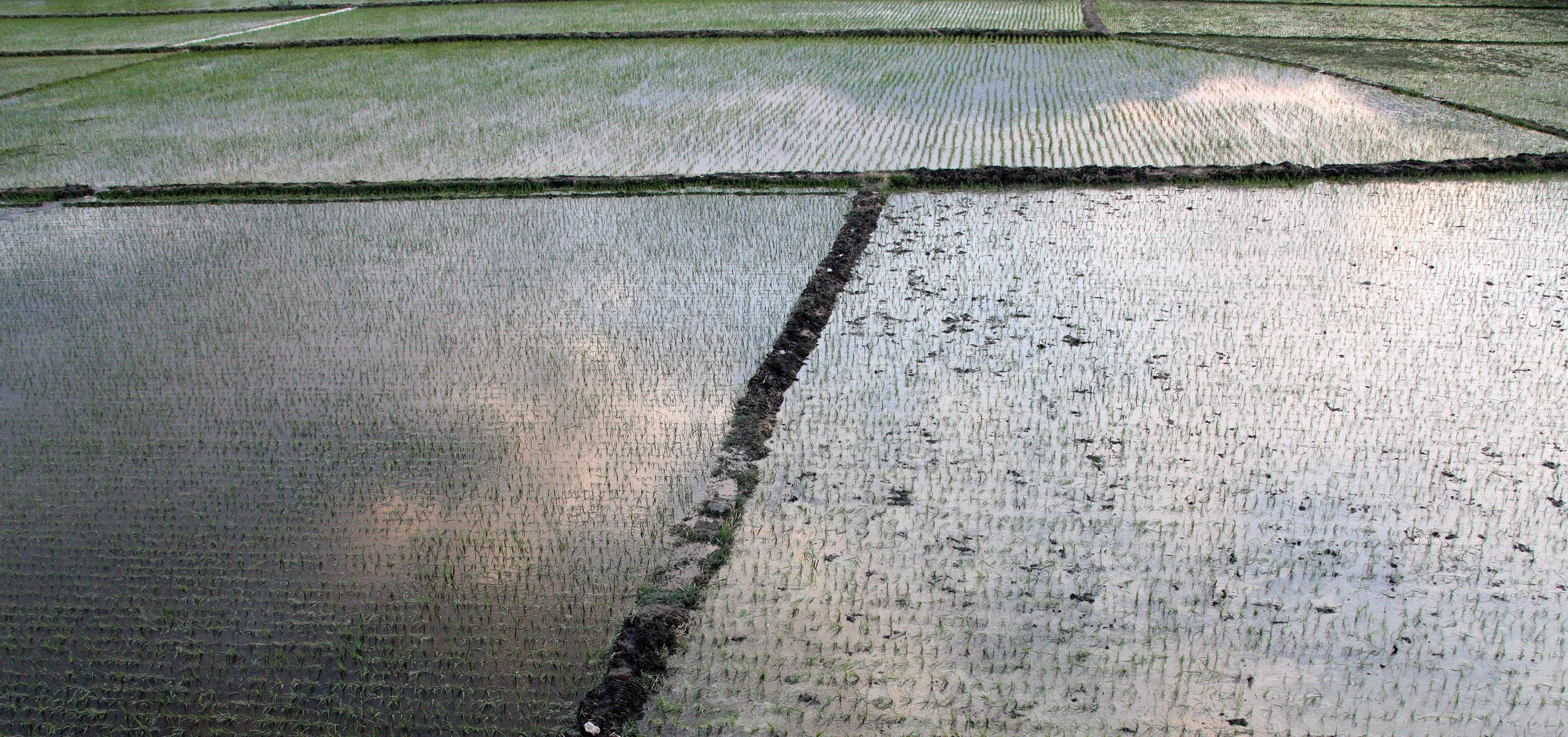 LINDEN CENTER - XIZHOU VILLAGE YUNNAN CHINA (49).JPG