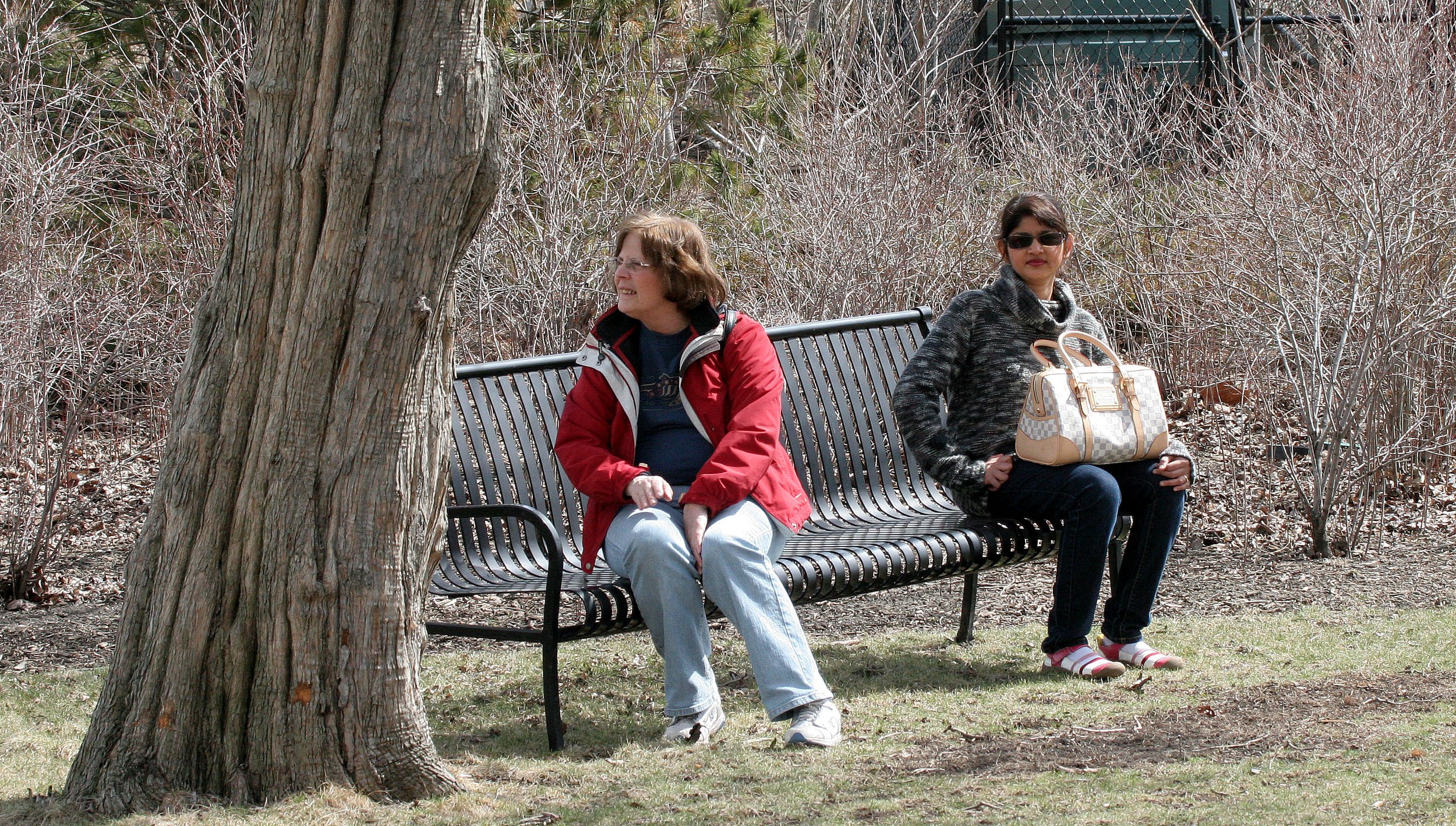 2008-4-3 CHICAGO SPRING TRIP - GARFIELD PARK CONSERVATORY (21).JPG