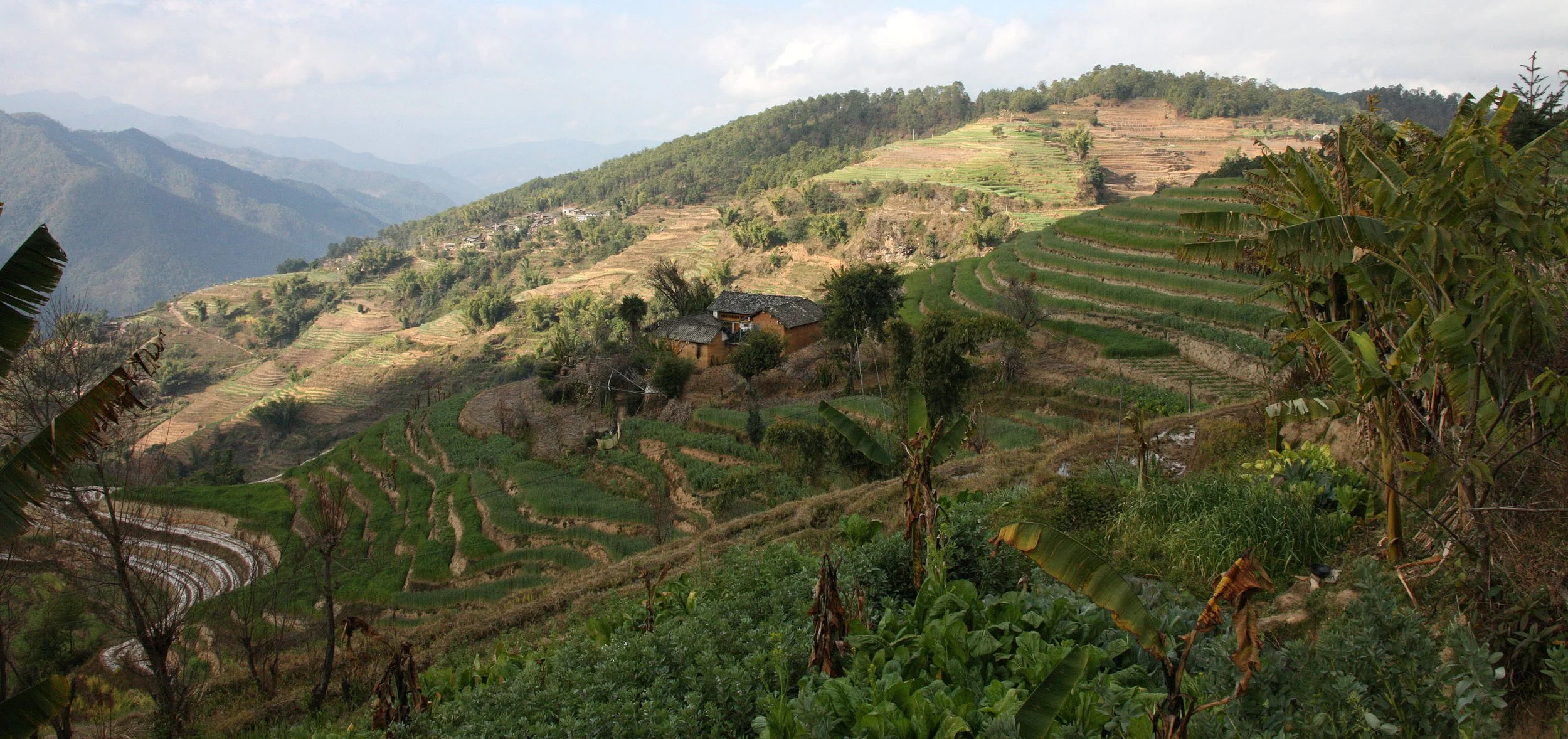 YUNNAN - WULIANGSHAN NATURE RESERVE AND SURROUNDING REGION (1).JPG