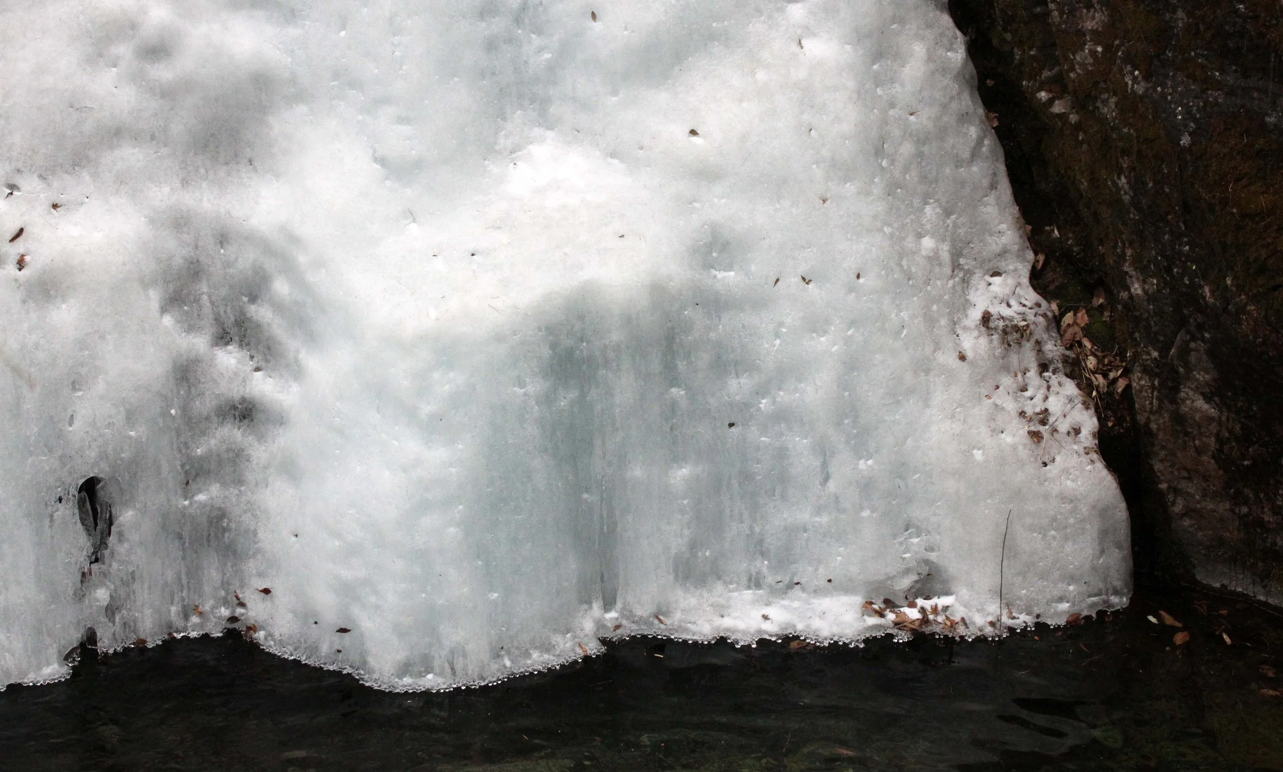 FOPING NATURE RESERVE - SHAANXI PROVINCE CHINA (115).JPG