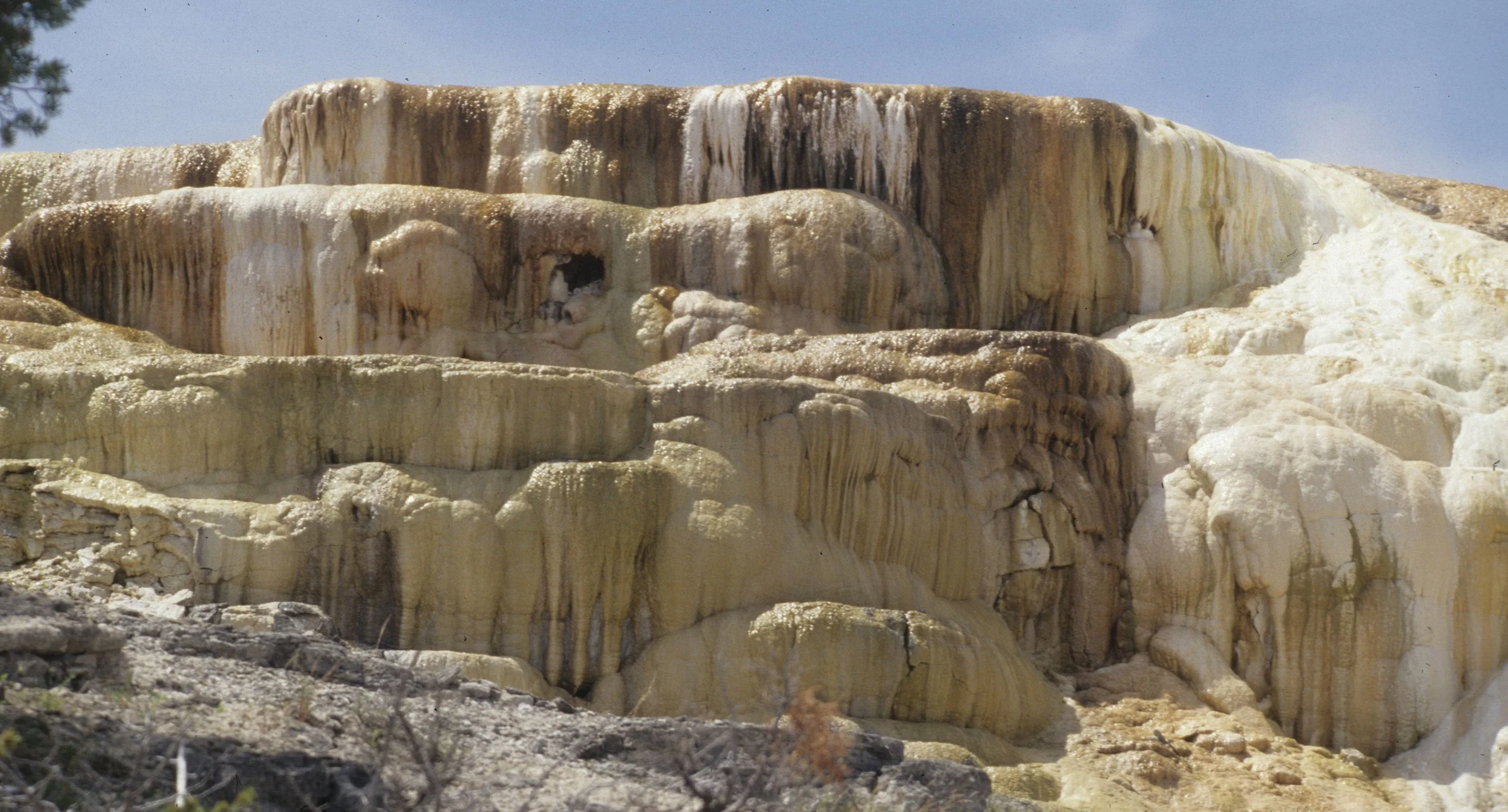 YELLOWSTONE - MAMMOTH HOTSPRINGS HH.jpg