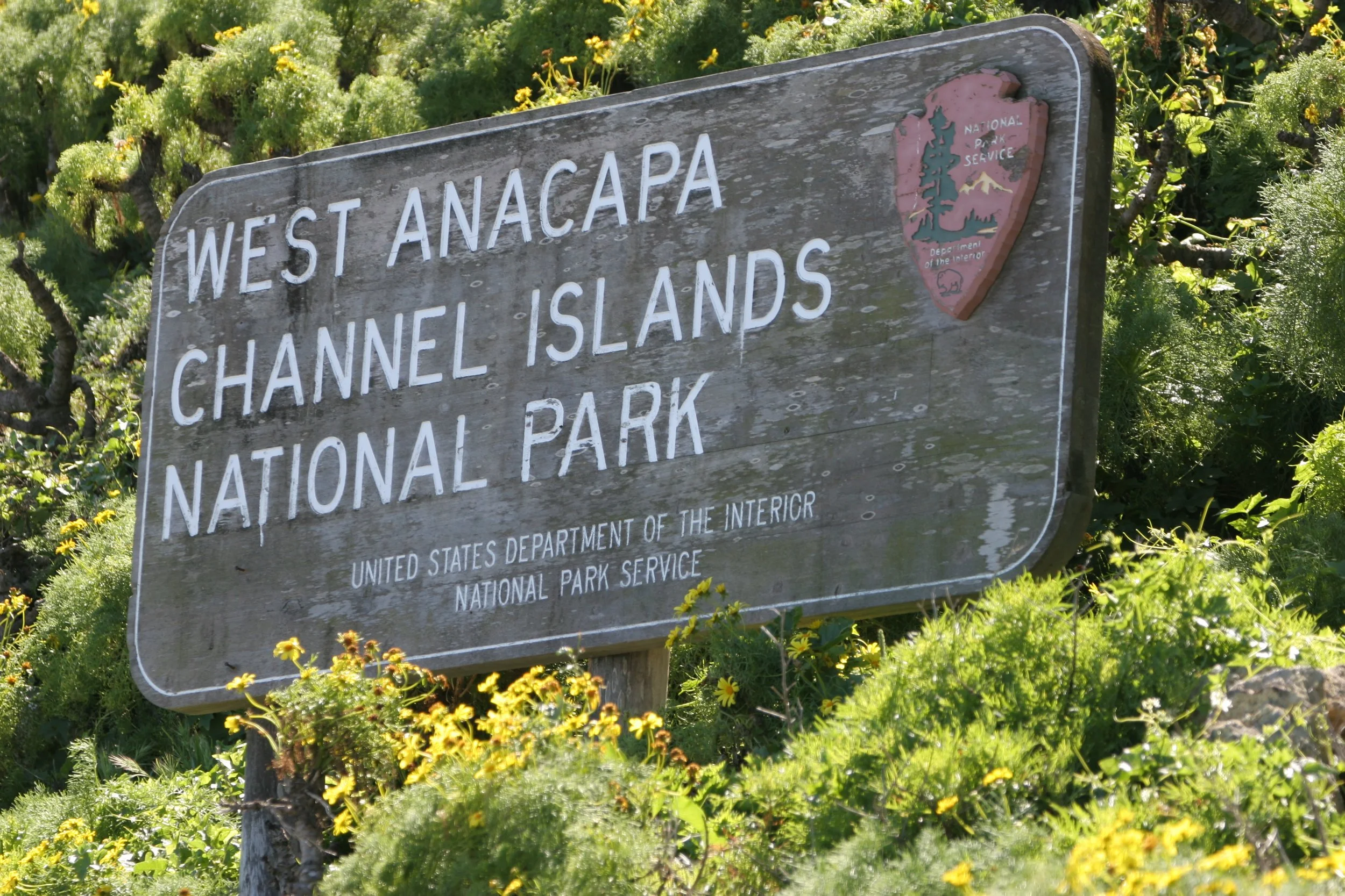 CALIFORNIA - CHANNEL ISLANDS NP - ANACAPA ISLAND - SIGN.jpg