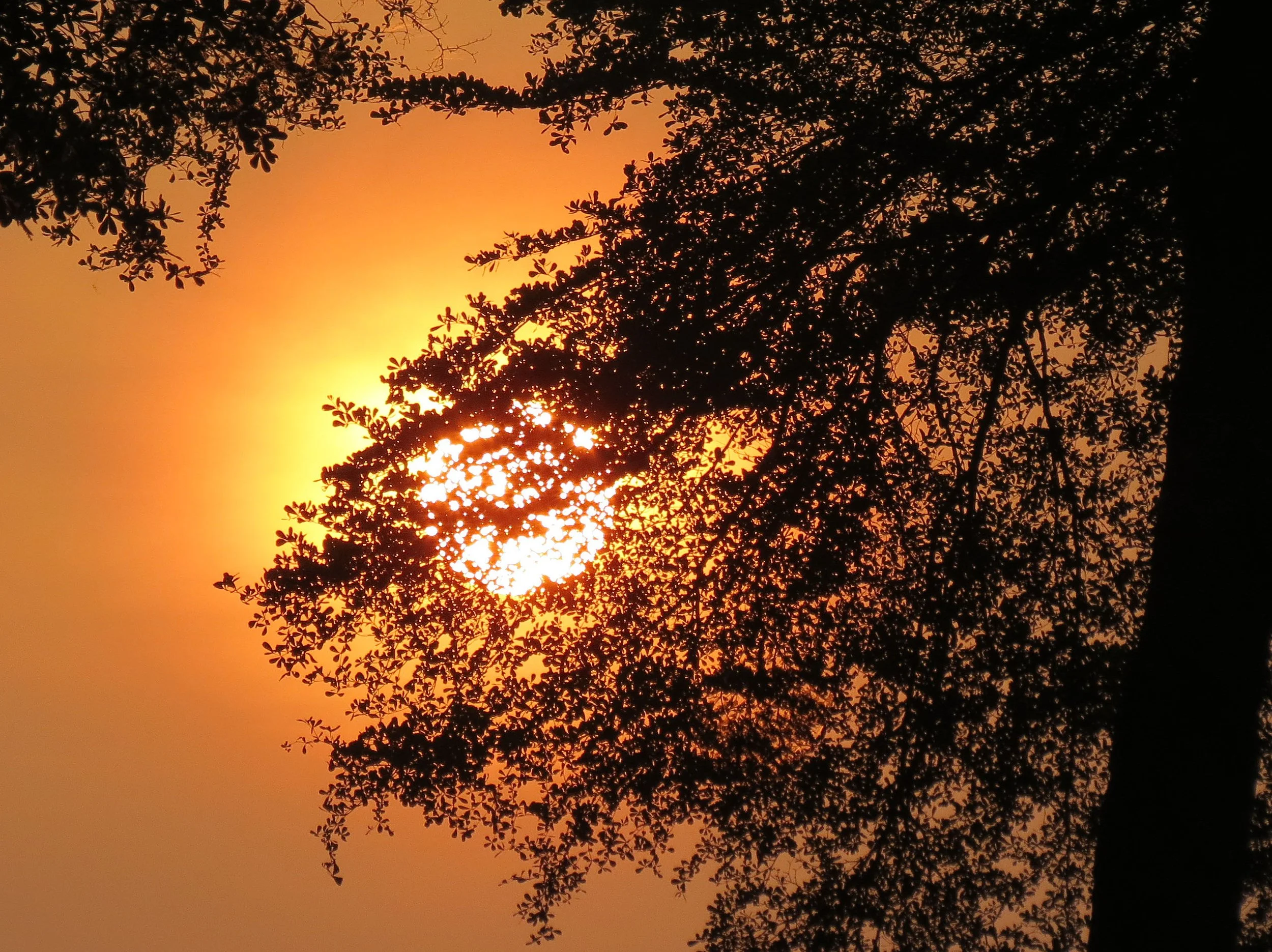 BANGUI -CENTRAL AFRICAN REPUBLIC (67).JPG