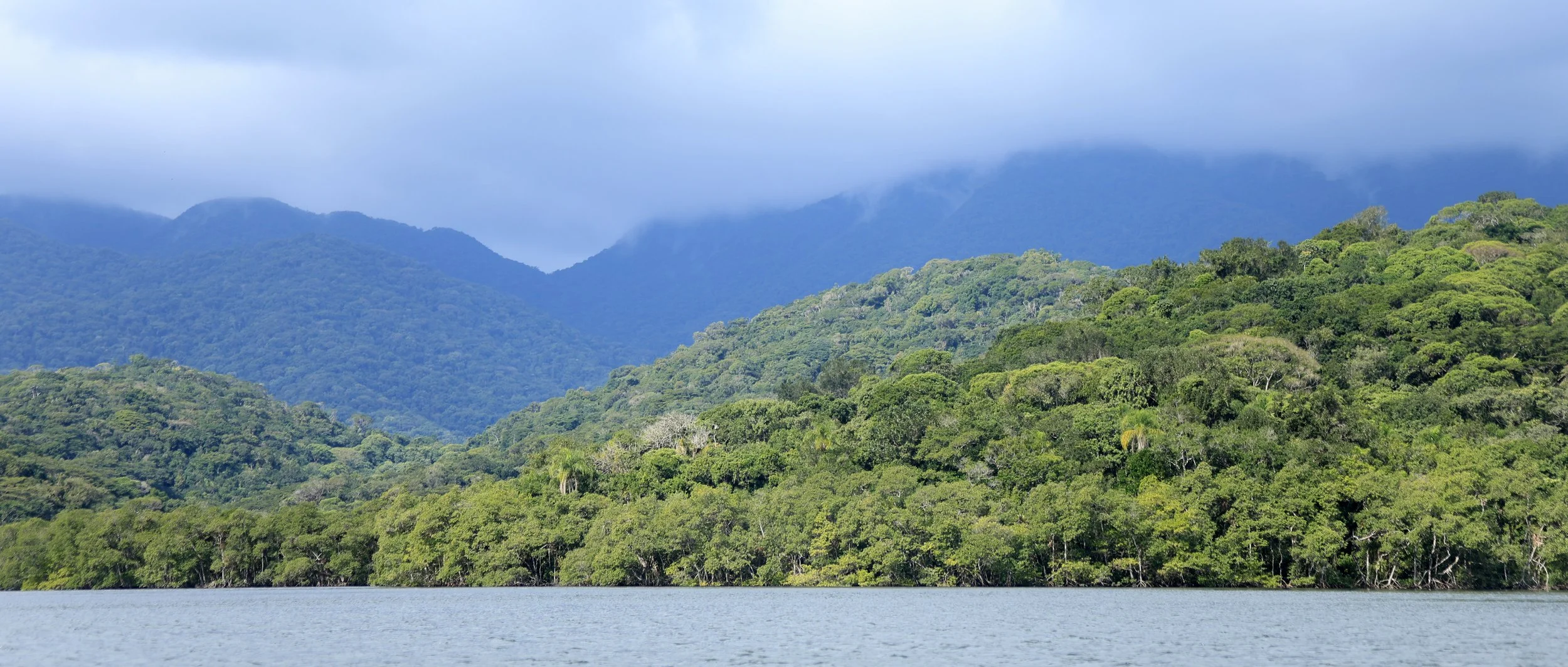 Superagüi National Park