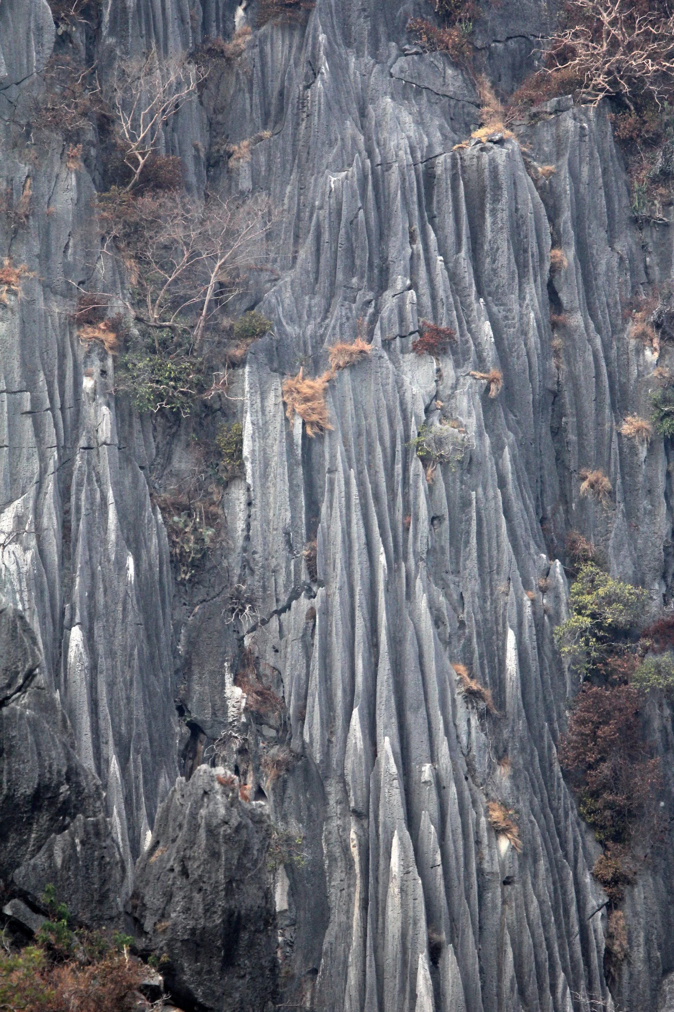 Khao Sam Roi Yod is a dramatic karst landscape featuring steep limestone mountains, sea cliffs, and caves formed 6,500–6,000 years ago.