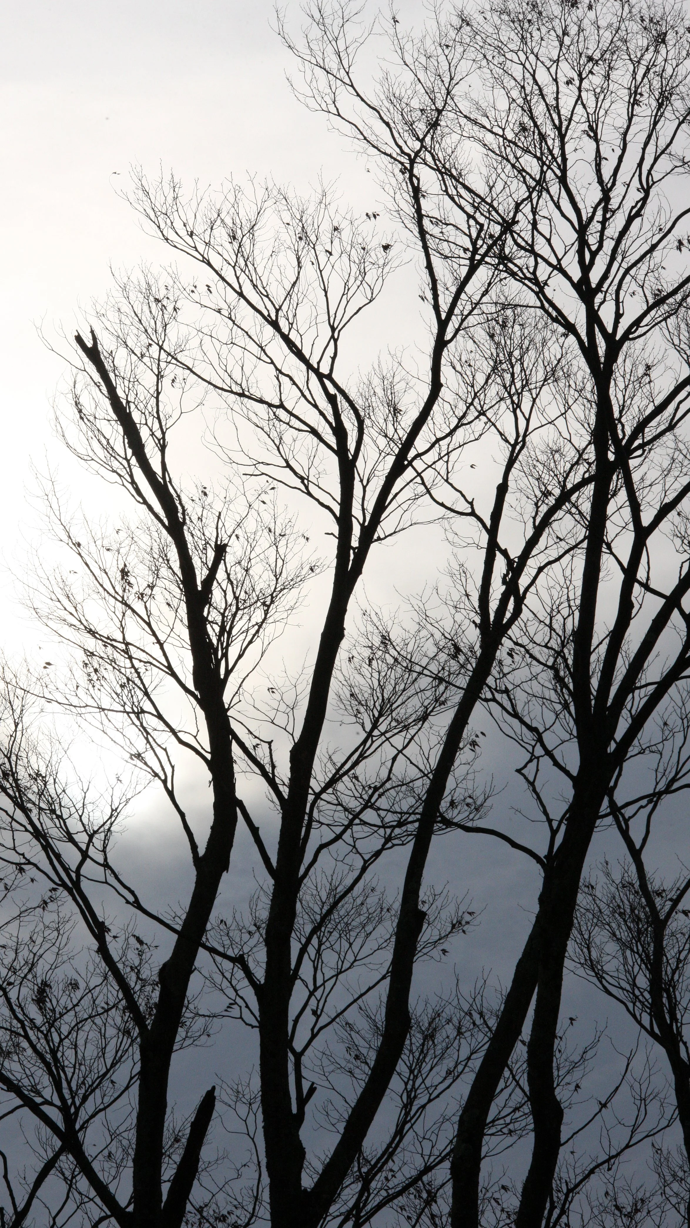 MAGOME JUKU POST TOWN - NAGANO PREFECTURE JAPAN (21).JPG