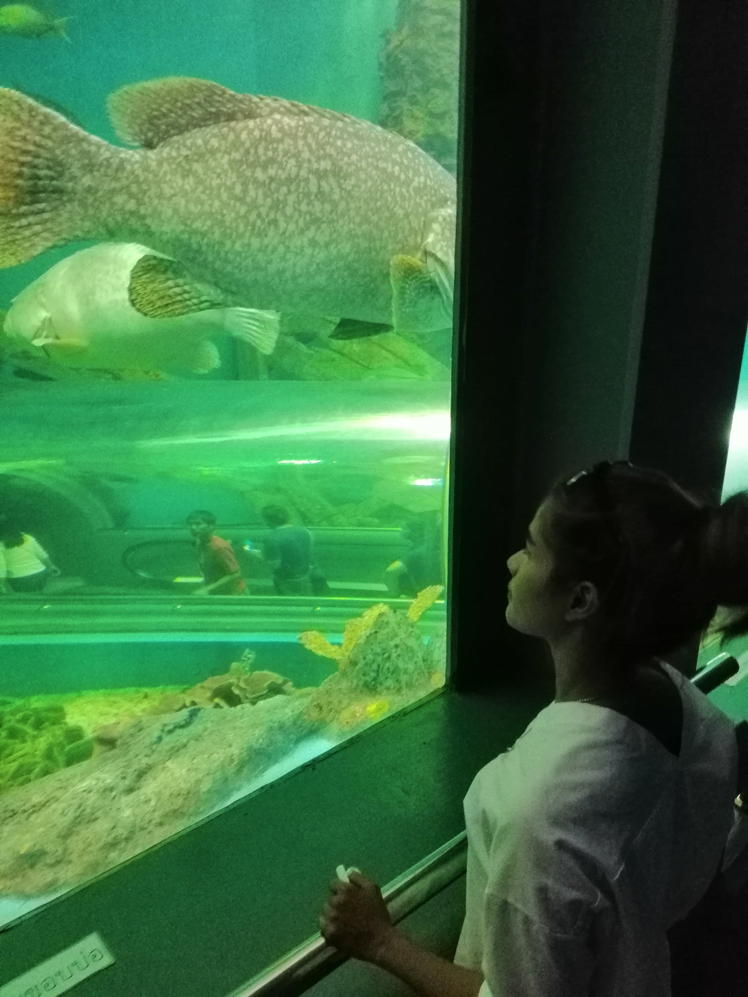 2018 Pattaya with Gift Temples and Miniature City (37).jpg