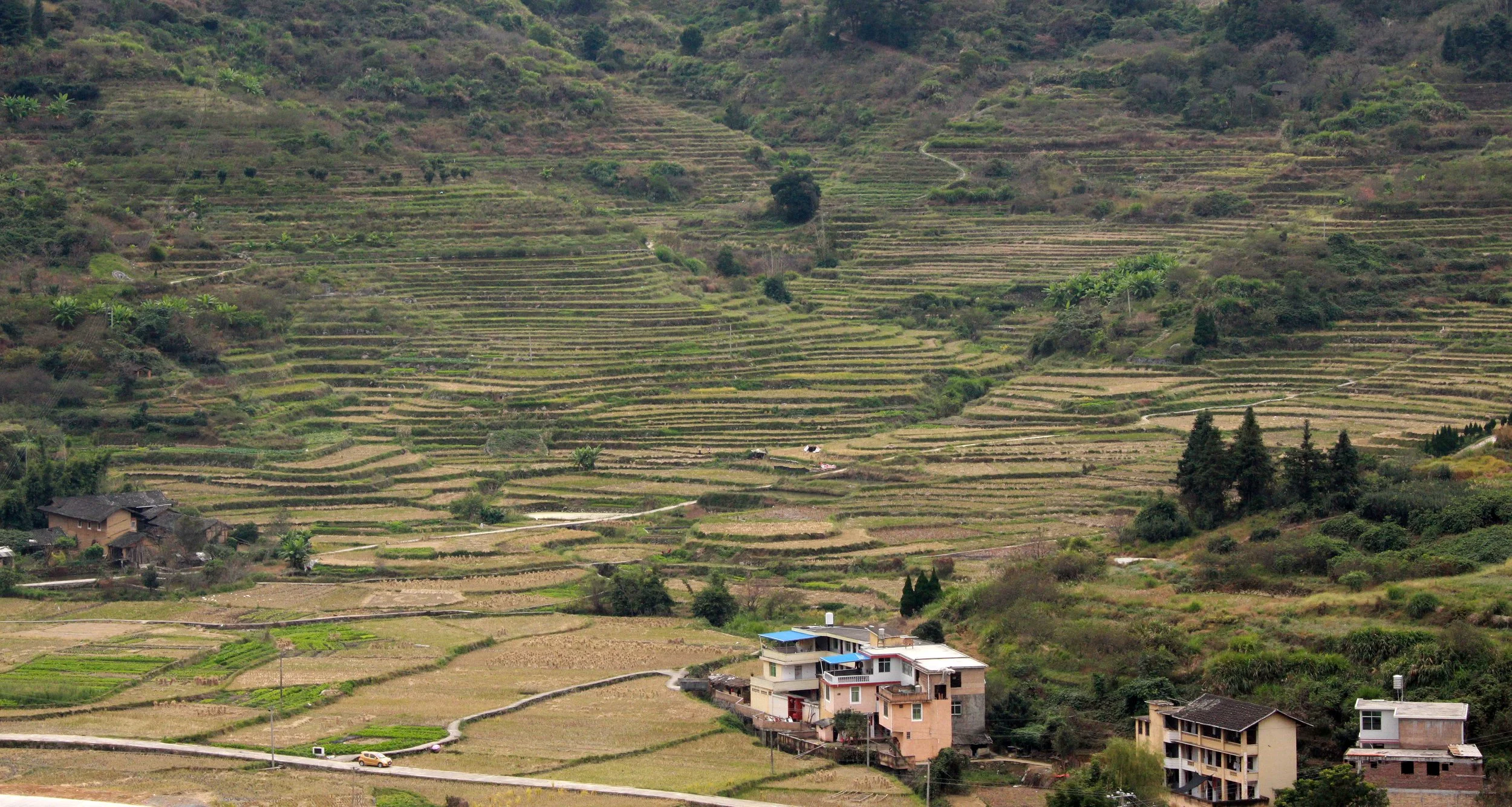 CHENGQILOU HAKKA VILLAGE - FUJIAN CHINA (17).JPG