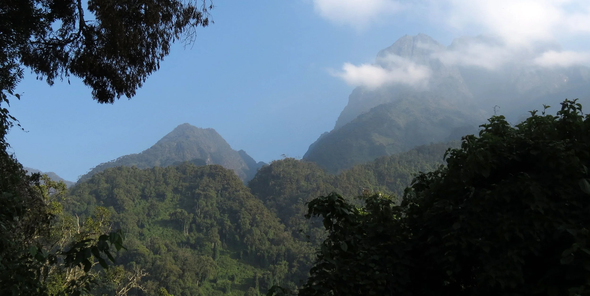 RWENZORI NATIONAL PARK UGANDA (76).JPG