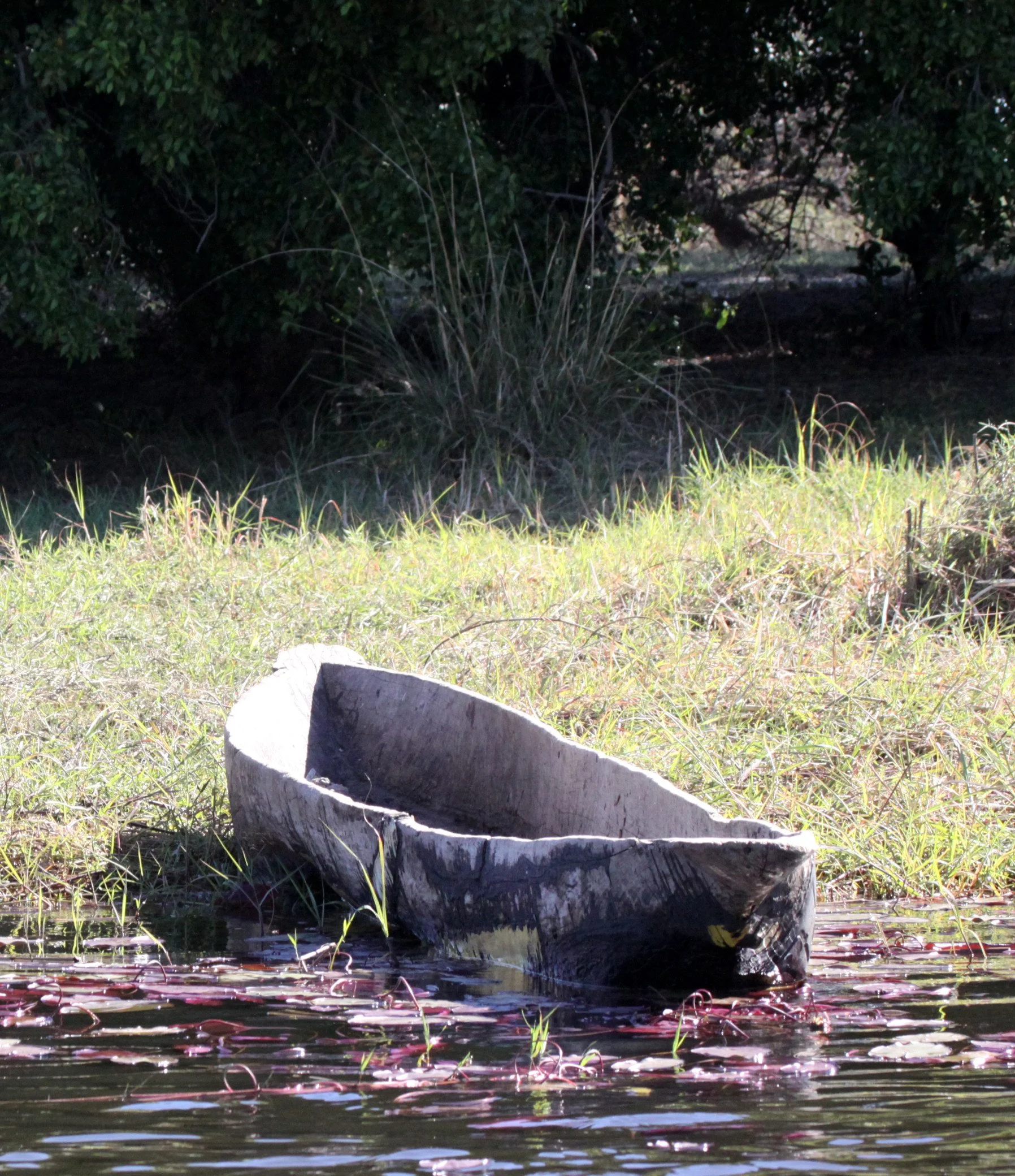 CHOBE NATIONAL PARK BOTSWANA - MOKORO (2).JPG