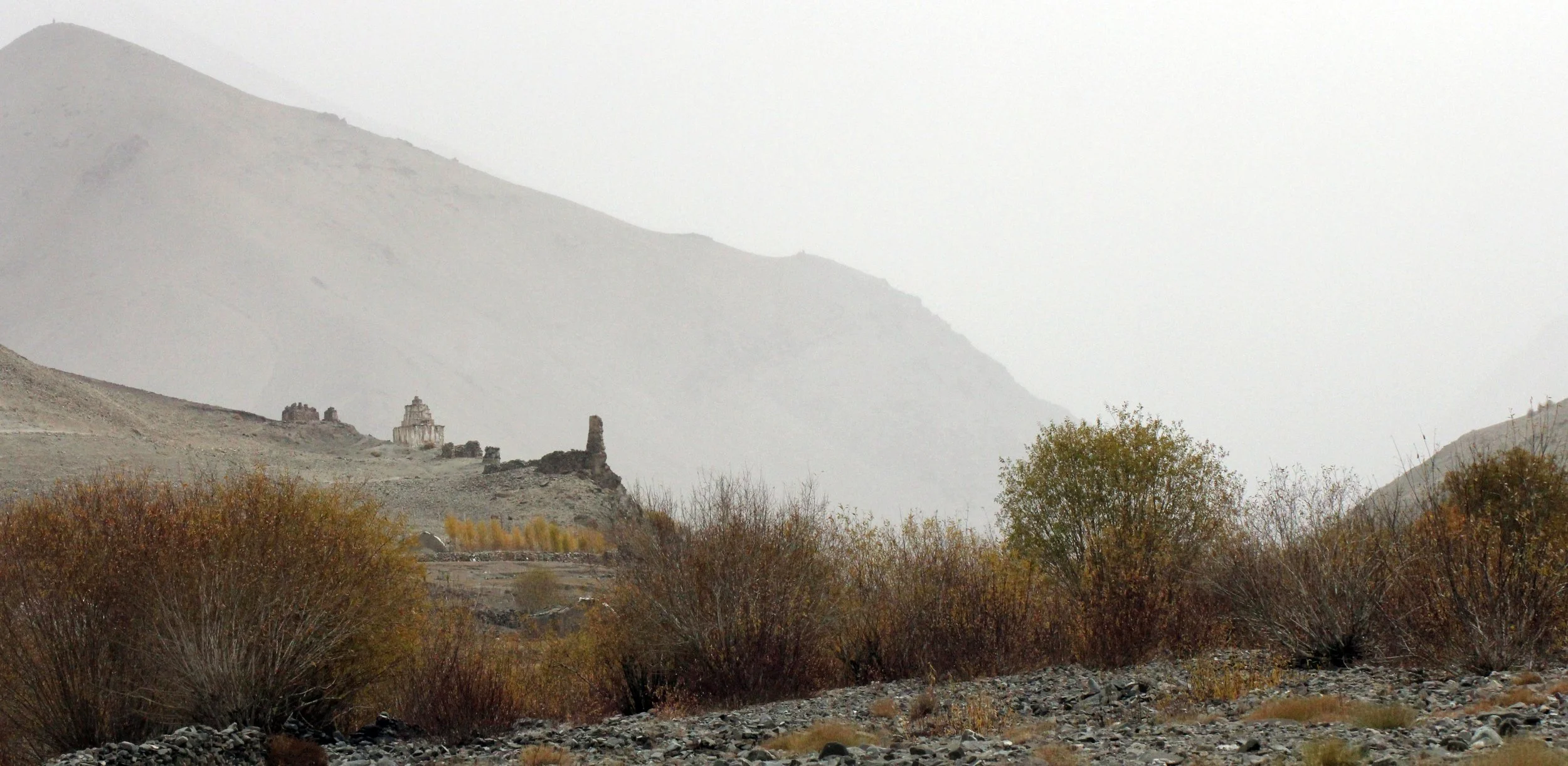 HEMIS NATIONAL PARK - LADAKH INDIA - JAMMU & KASHMIR NEAR RUMBAK VILLAGE (356).JPG