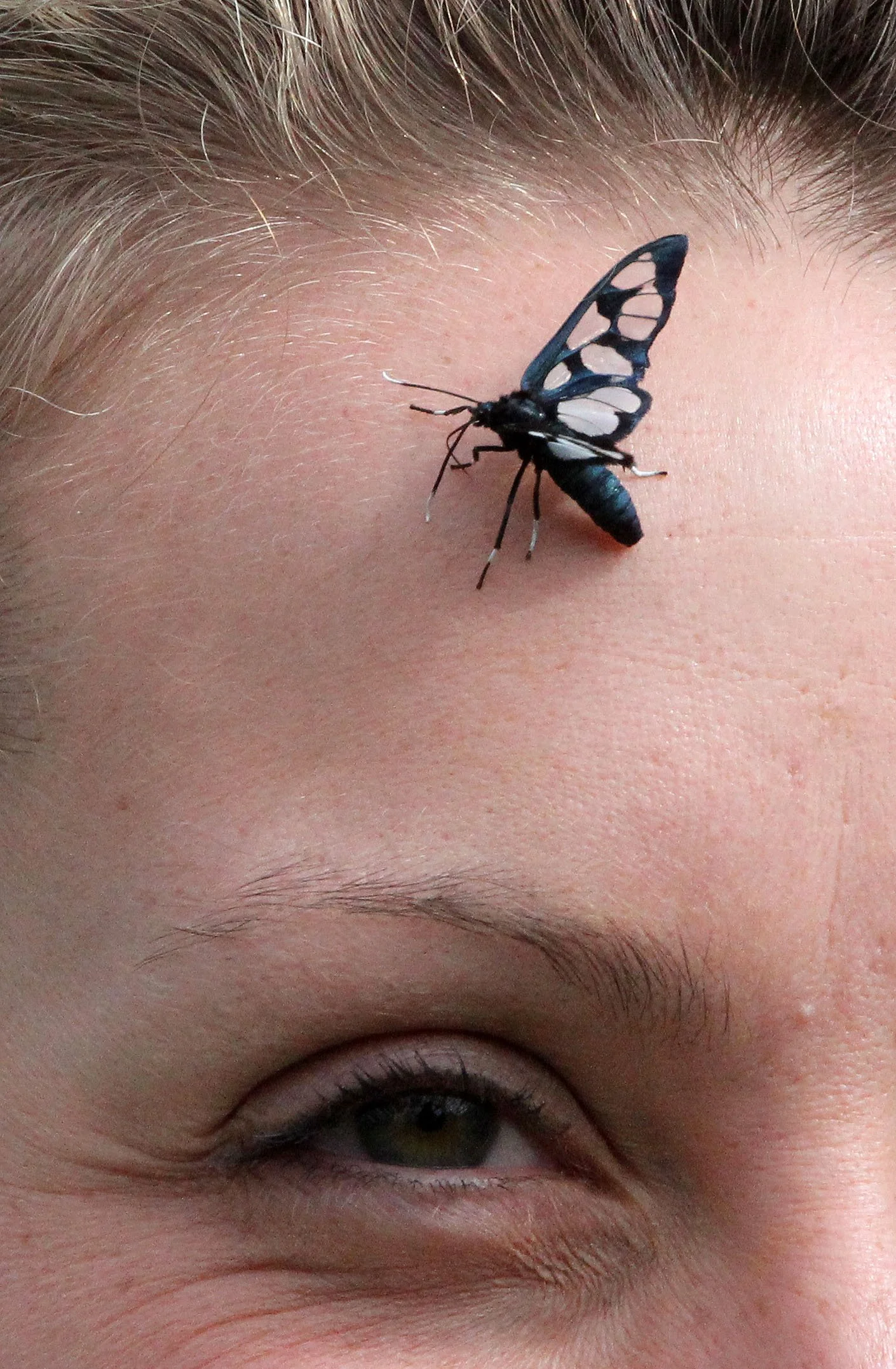 PARK DU VULCANS RWANDA (68).JPG