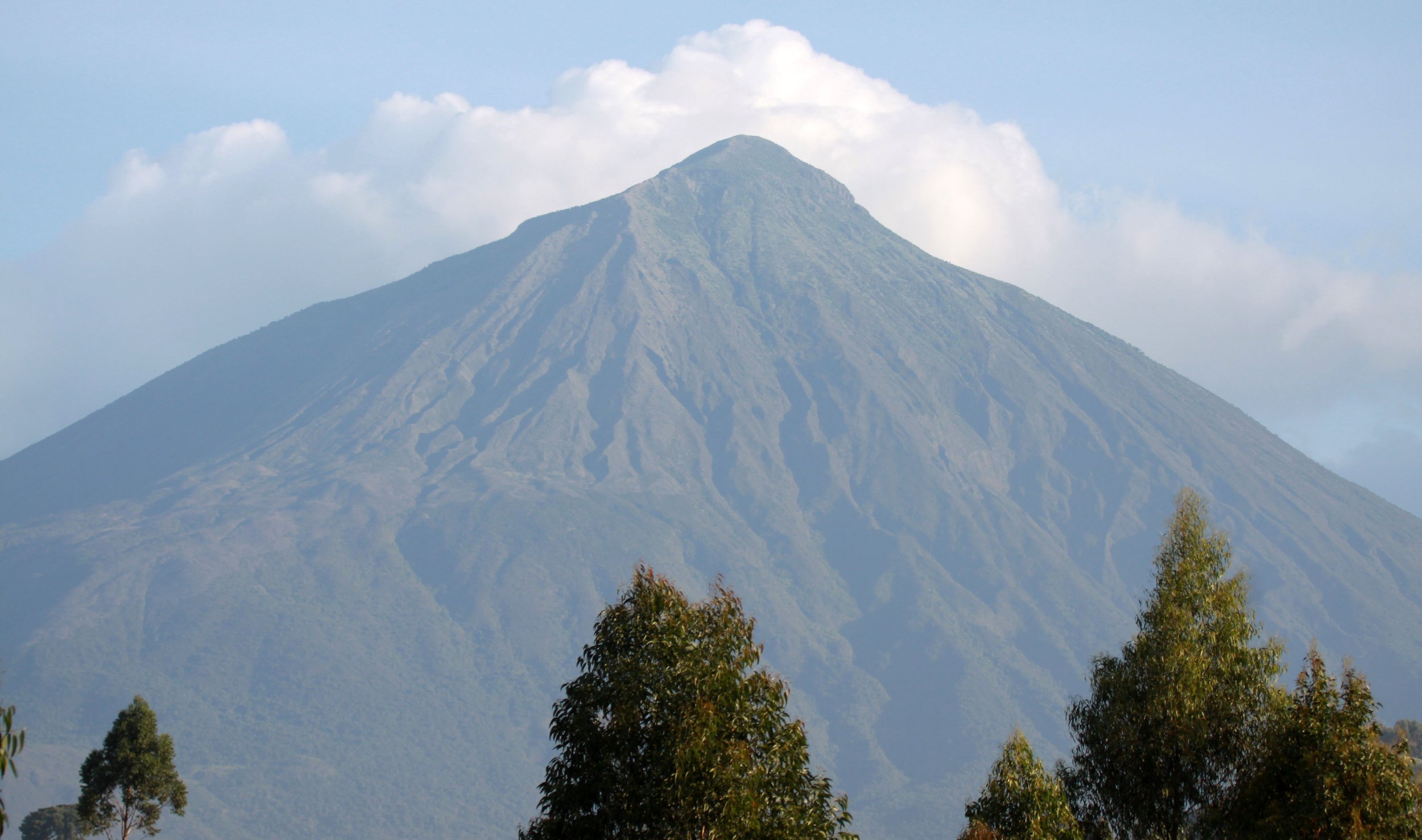 PARC DU VULCANS RWANDA (9).JPG