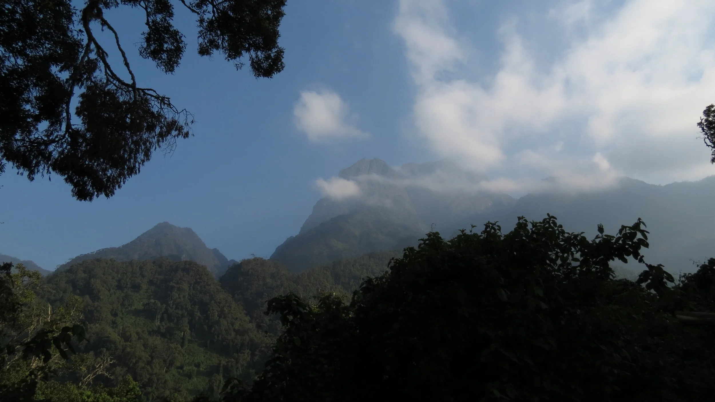 RWENZORI NATIONAL PARK UGANDA (70).JPG