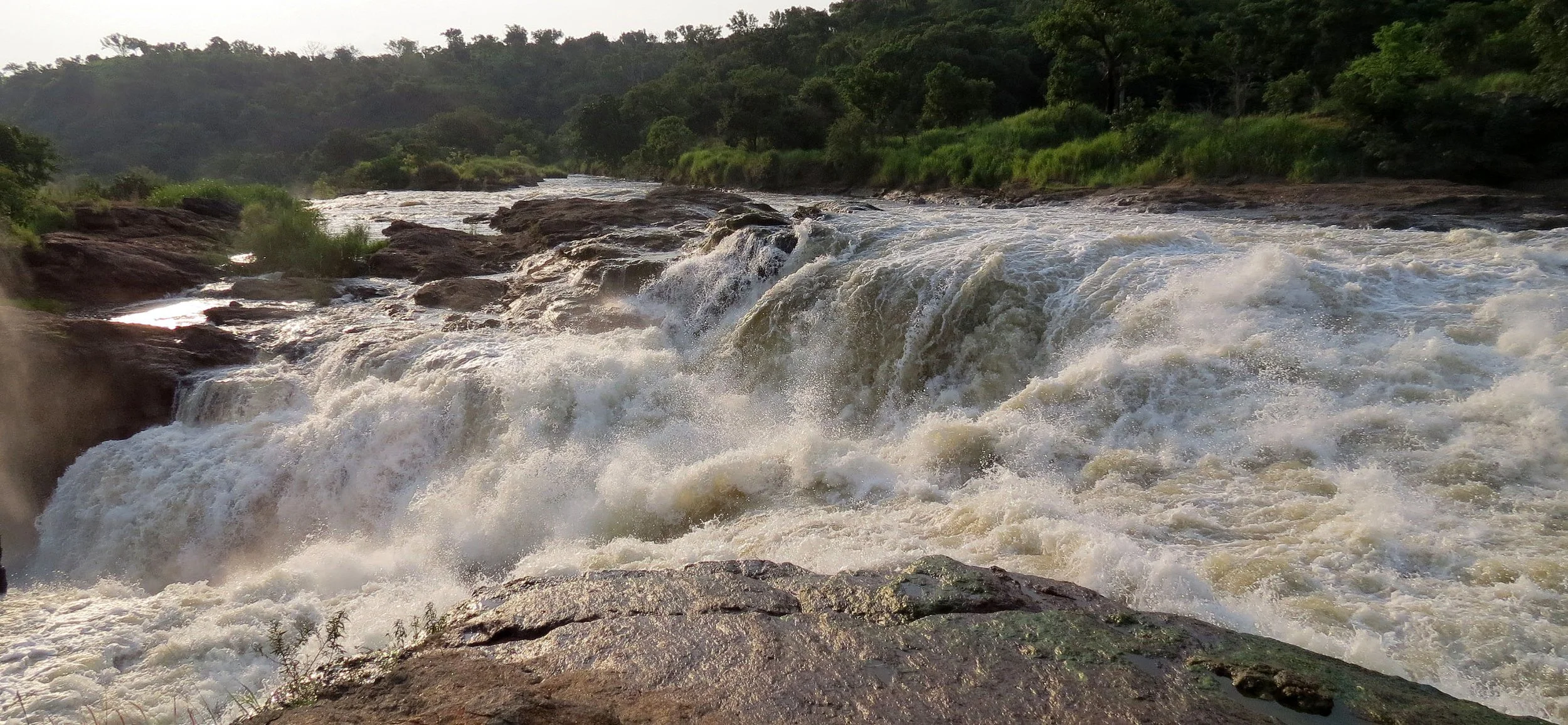 MURCHISON FALLS UGANDA (55).JPG