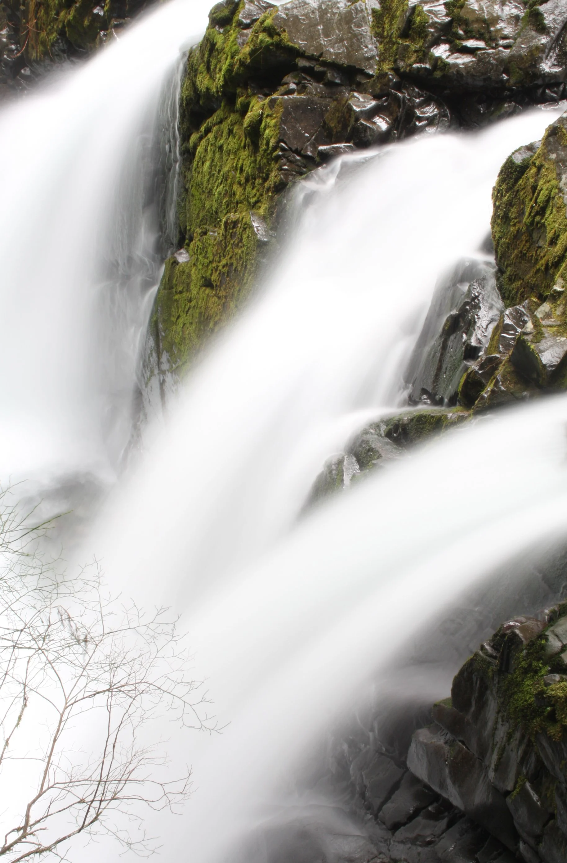 SOL DUC FALLS AND FOREST - ONP WA (52).JPG