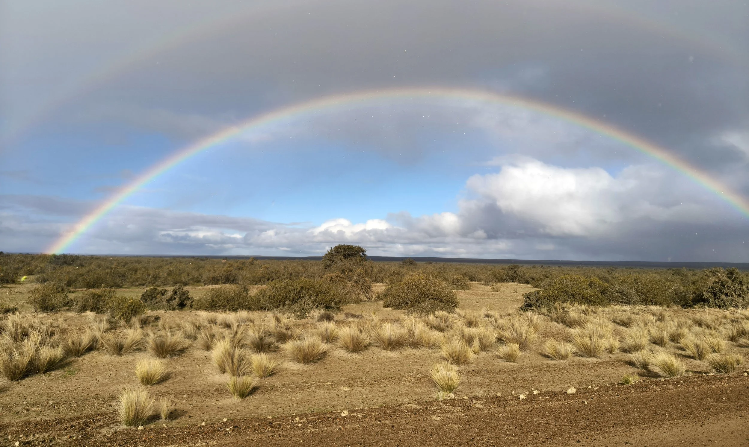 Valdes Peninsula, Chubut Province, Argentina (24).jpg