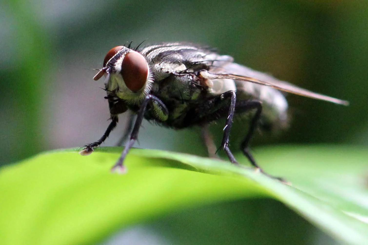 NAKHON & KRABI-LANTA - OCTOBER BREAK 2013 (55).JPG