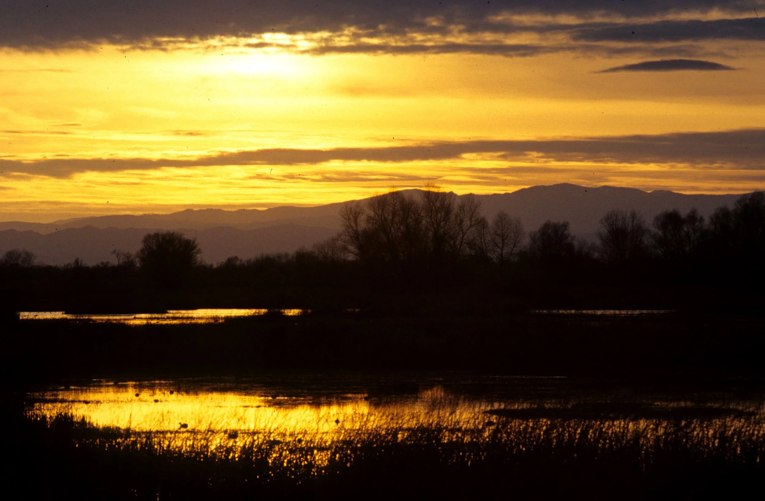 CALIFORNIA - KLAMMATH BASIN SUNSET B.jpg