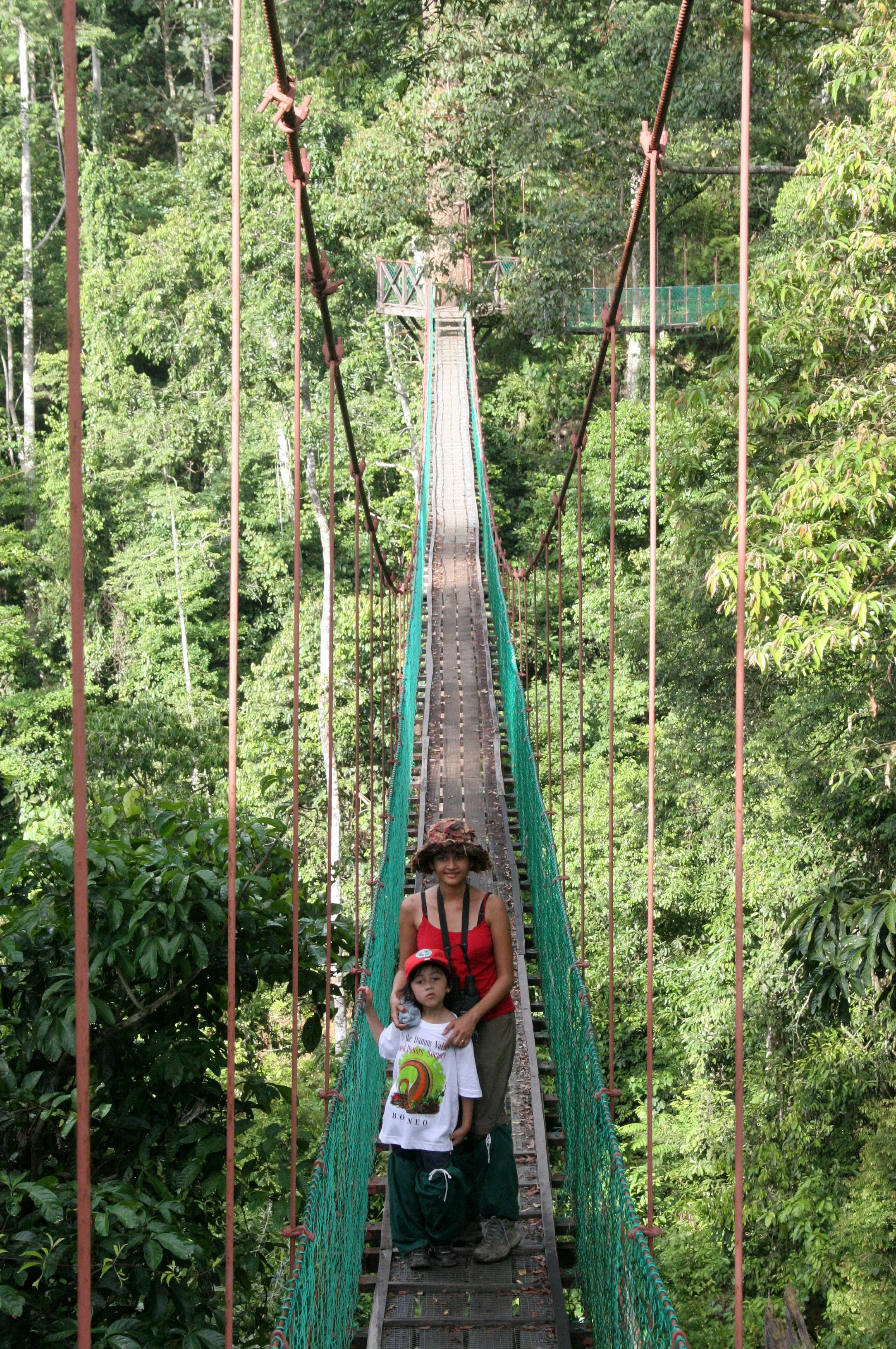 DANUM VALLEY BORNEO - CANOPY WALKWAY -  BRL (8).JPG