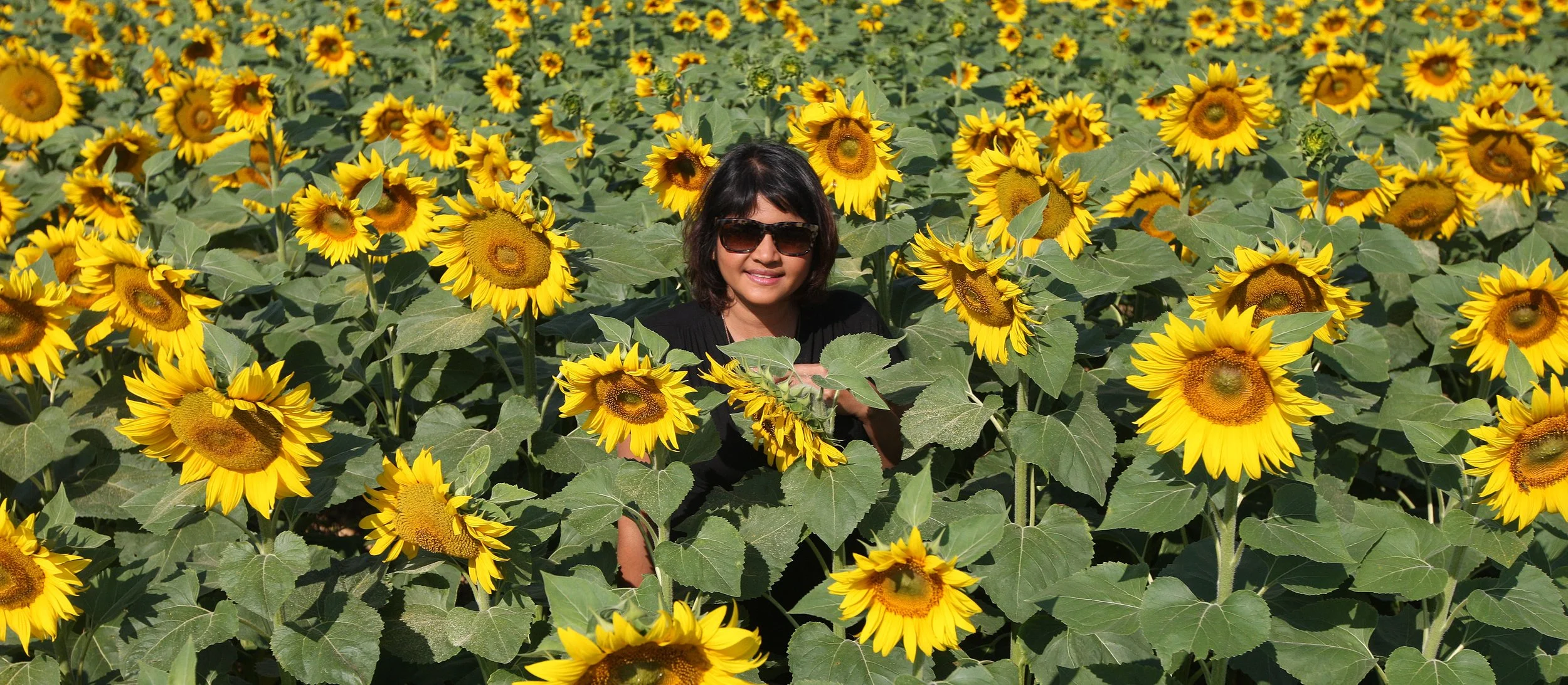 VERCORS NATIONAL PARK FRANCE (69).JPG