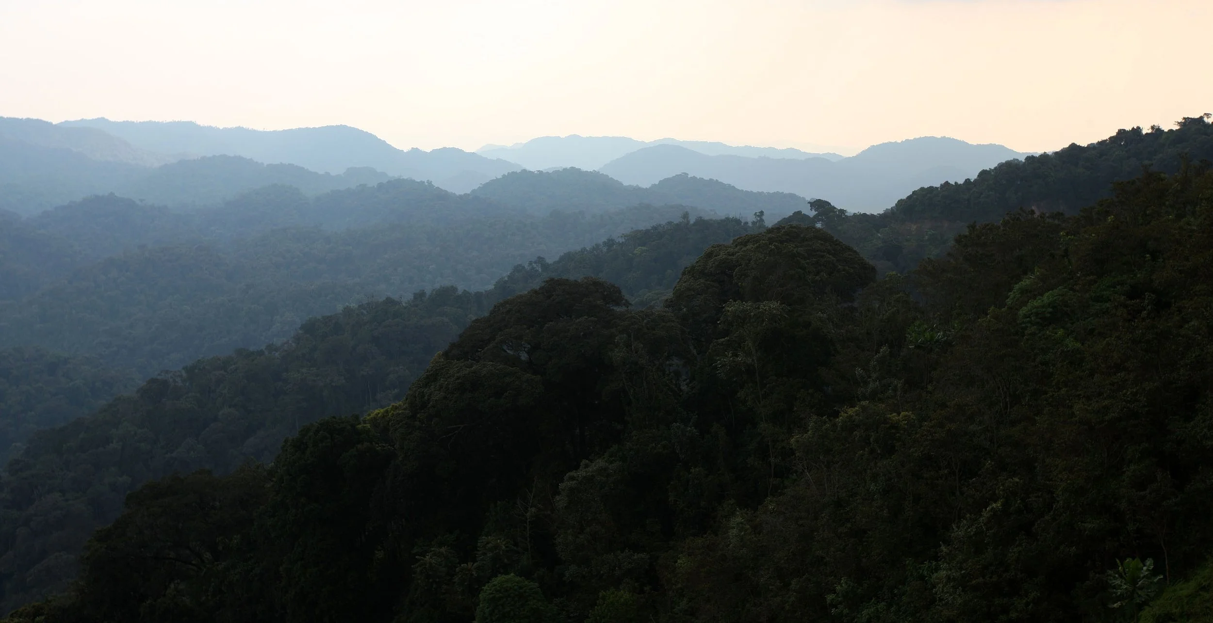NYUNGWE NATIONAL PARK RWANDA 2 (38).JPG