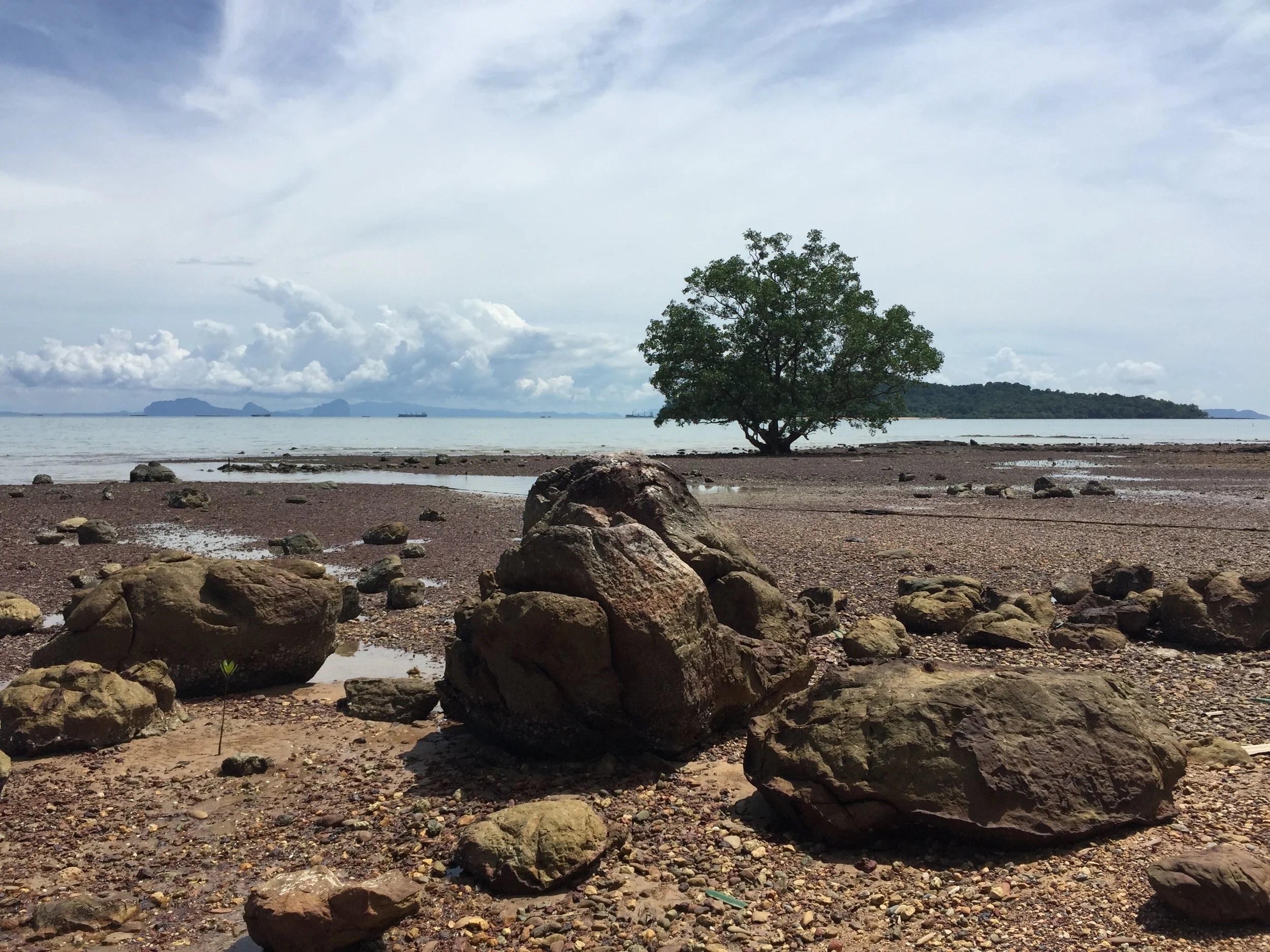 2016 Koh Lanta TheOtherSideVillas - Nature at our Home (115).JPG