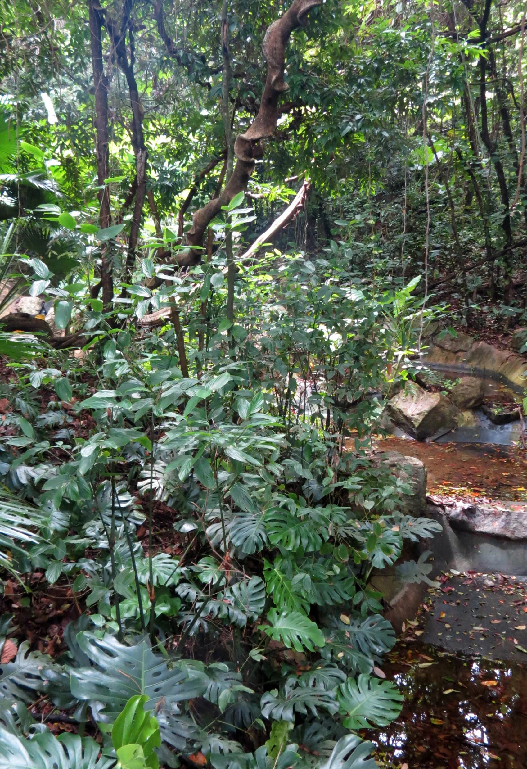 2014 Koh Lanta Build (61).JPG