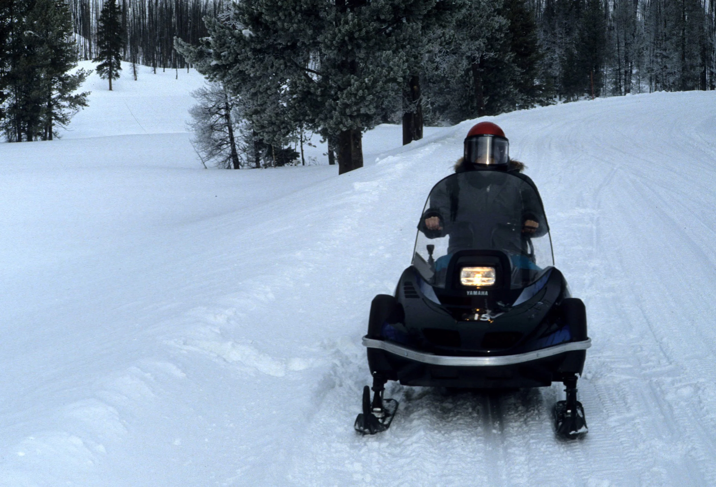 YELLOWSTONE IN WINTER FF.jpg