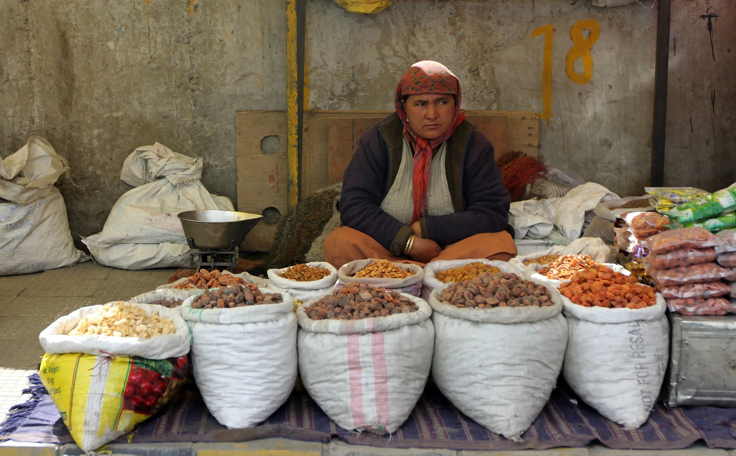LEH, LADAKH INDIA - SNOW LEOPARD EXPEDITION (16).JPG