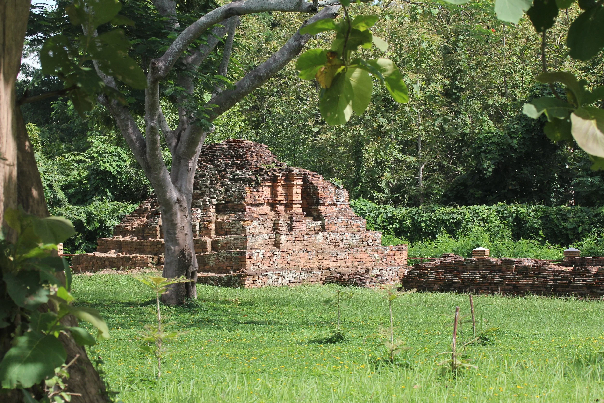 2020 3 July Chiang Saen Northern Thailand Road Trip  (48).JPG